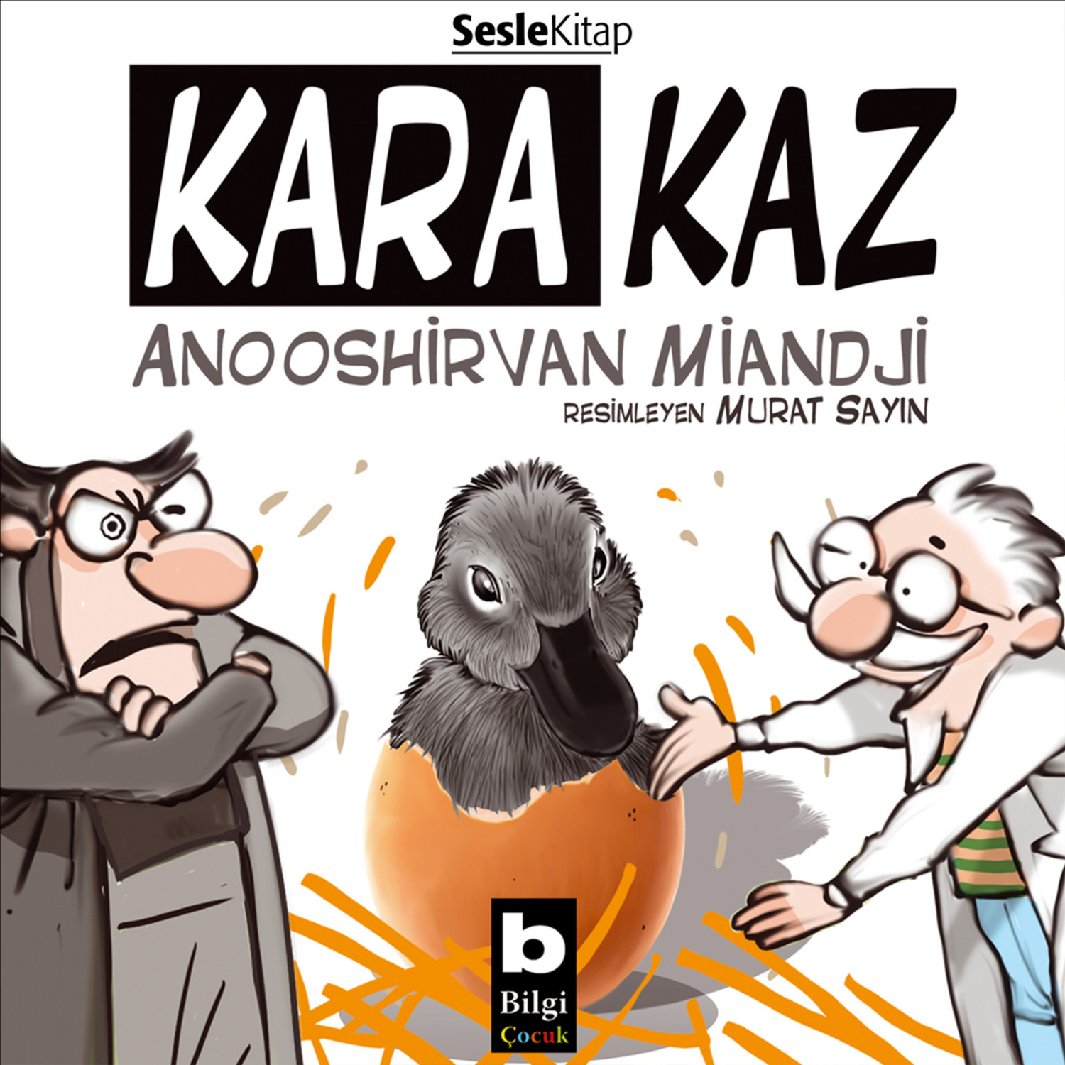 Обложка книги «Kara Kaz»