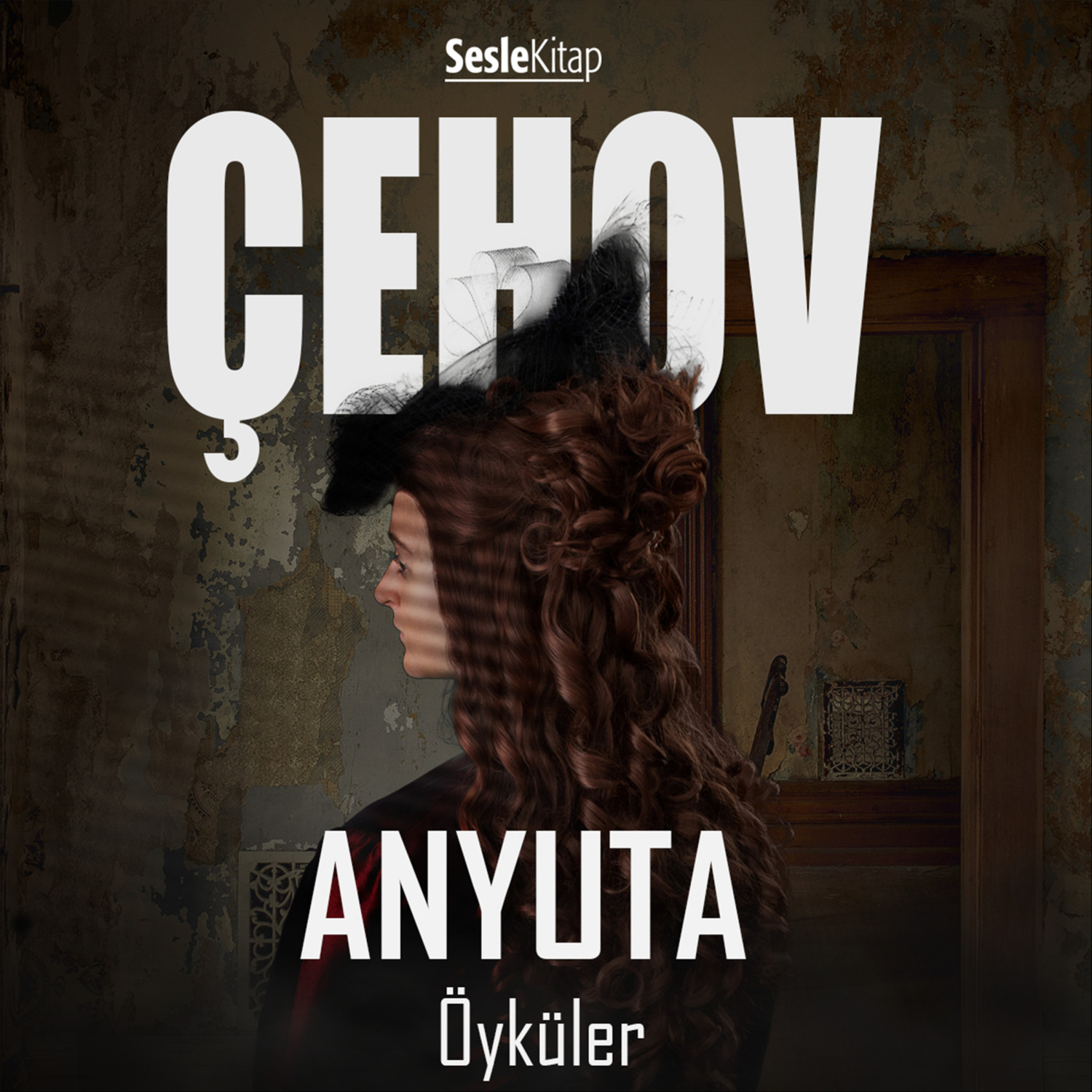 Обложка книги «Anyuta Öyküler»