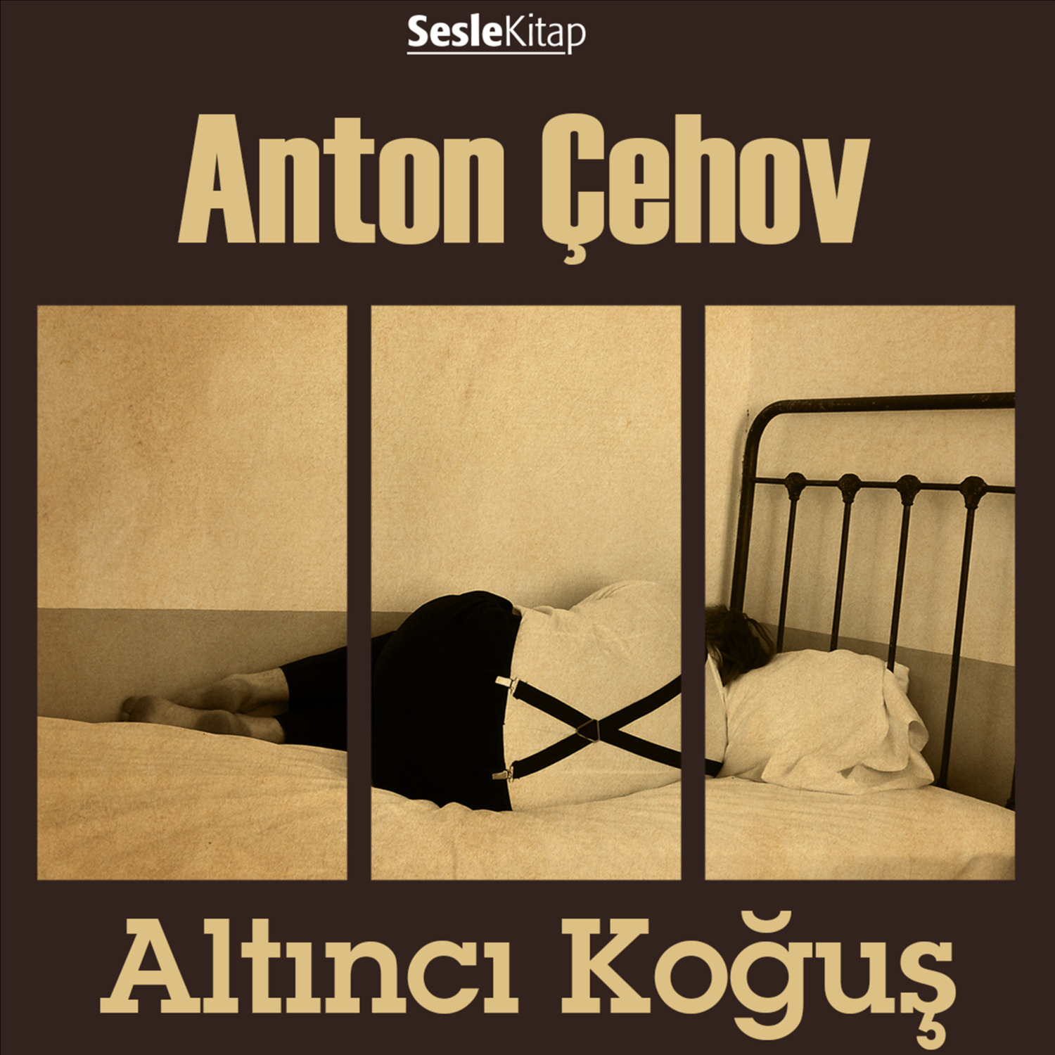 Обложка книги «Altıncı Koğuş»