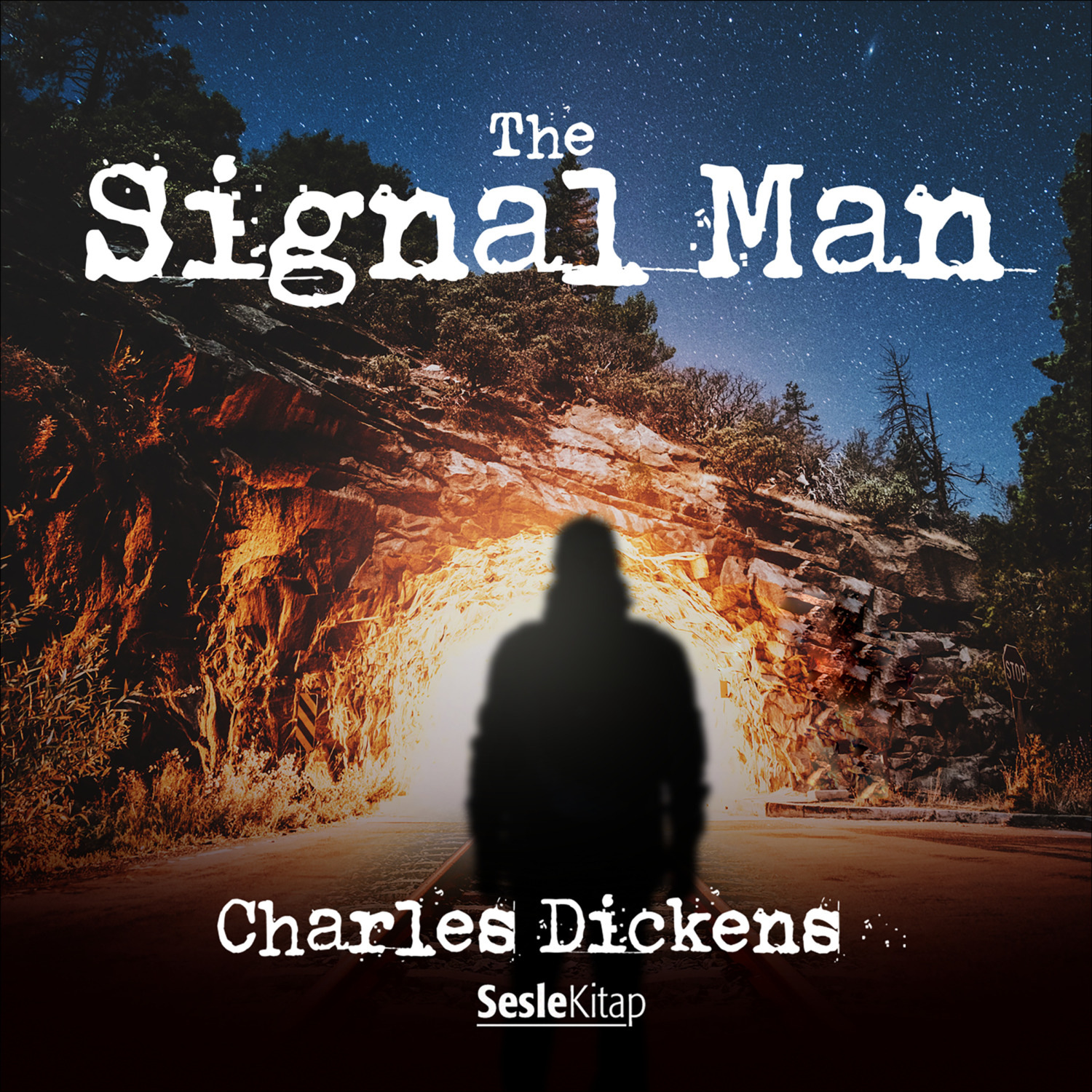 Обложка книги «The Signal-Man»