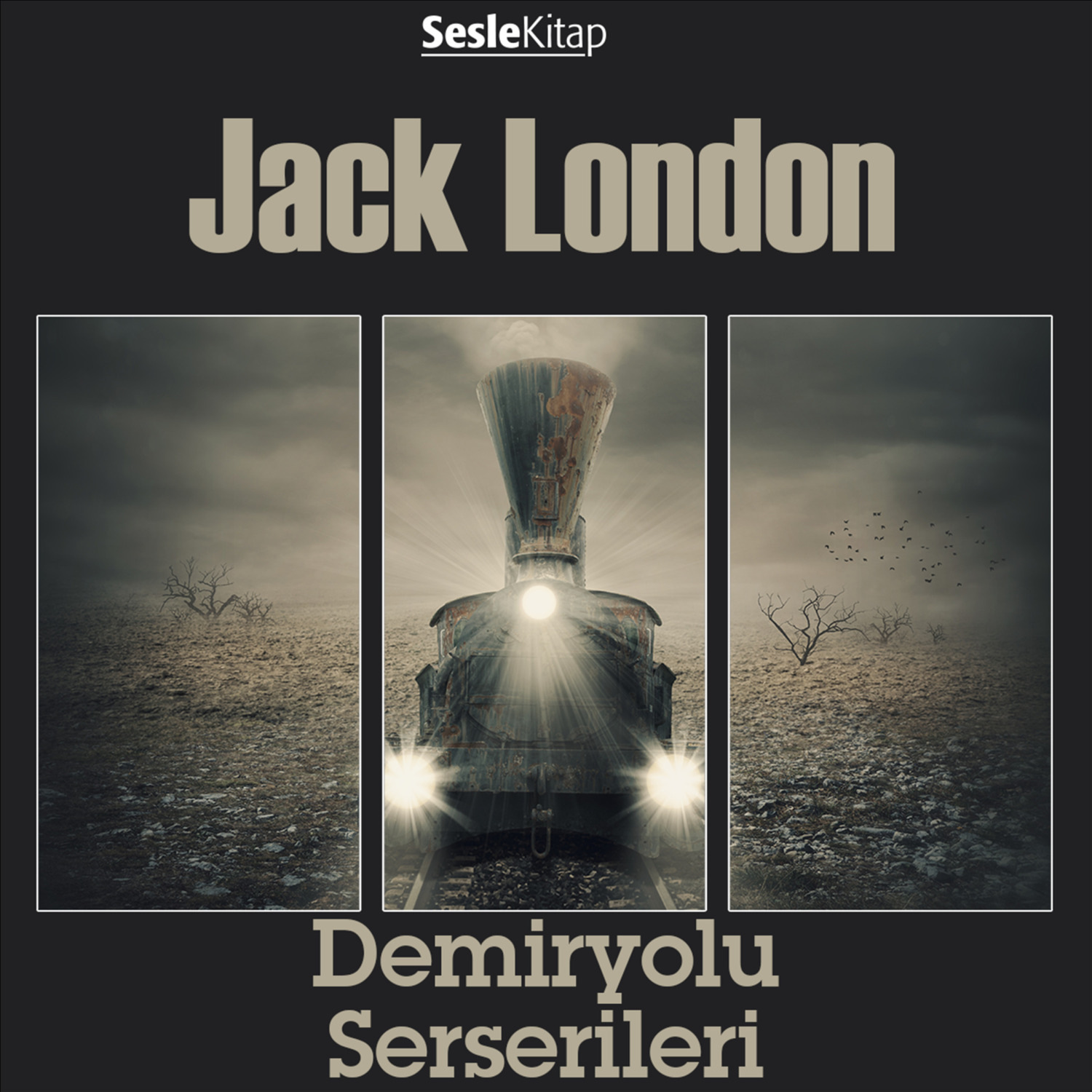 Обложка книги «Demiryolu Serserileri»