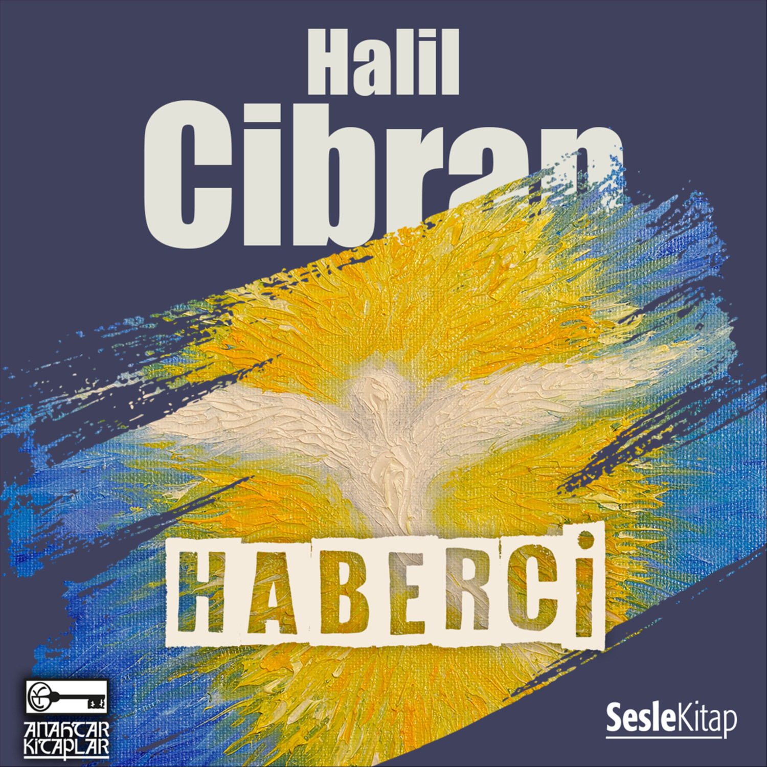 Обложка книги «Haberci»