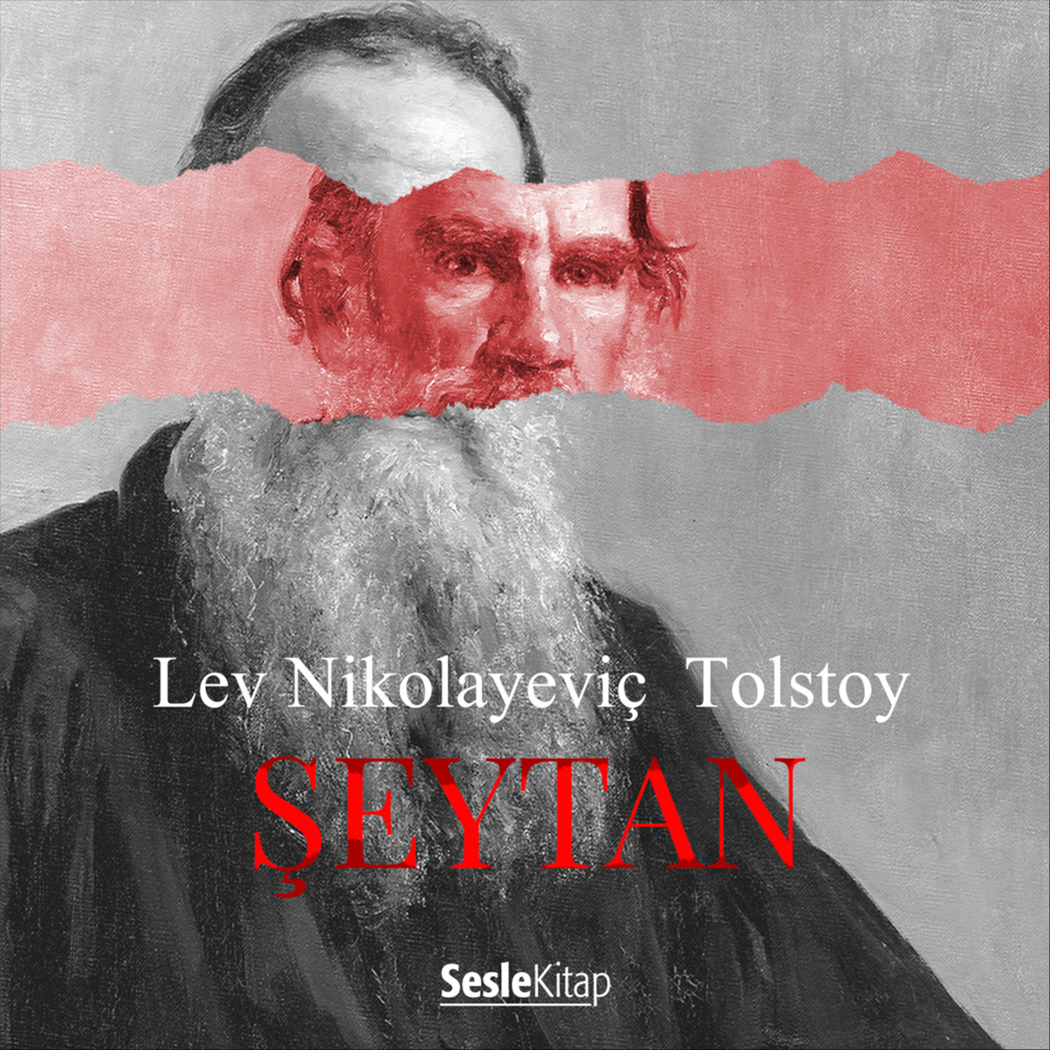 Обложка книги «Şeytan»