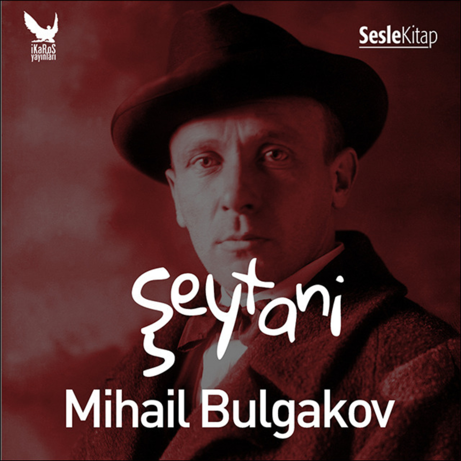Обложка книги «Şeytani»