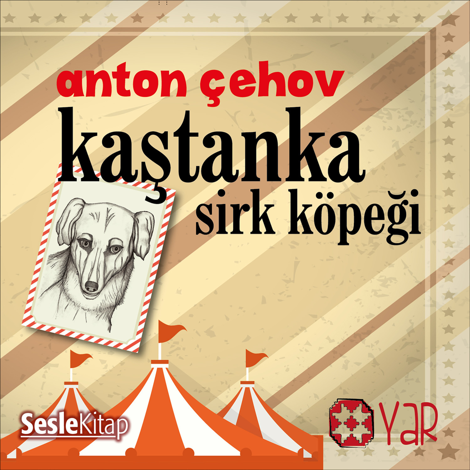 Обложка книги «Sirk Köpeği Kaştanka»
