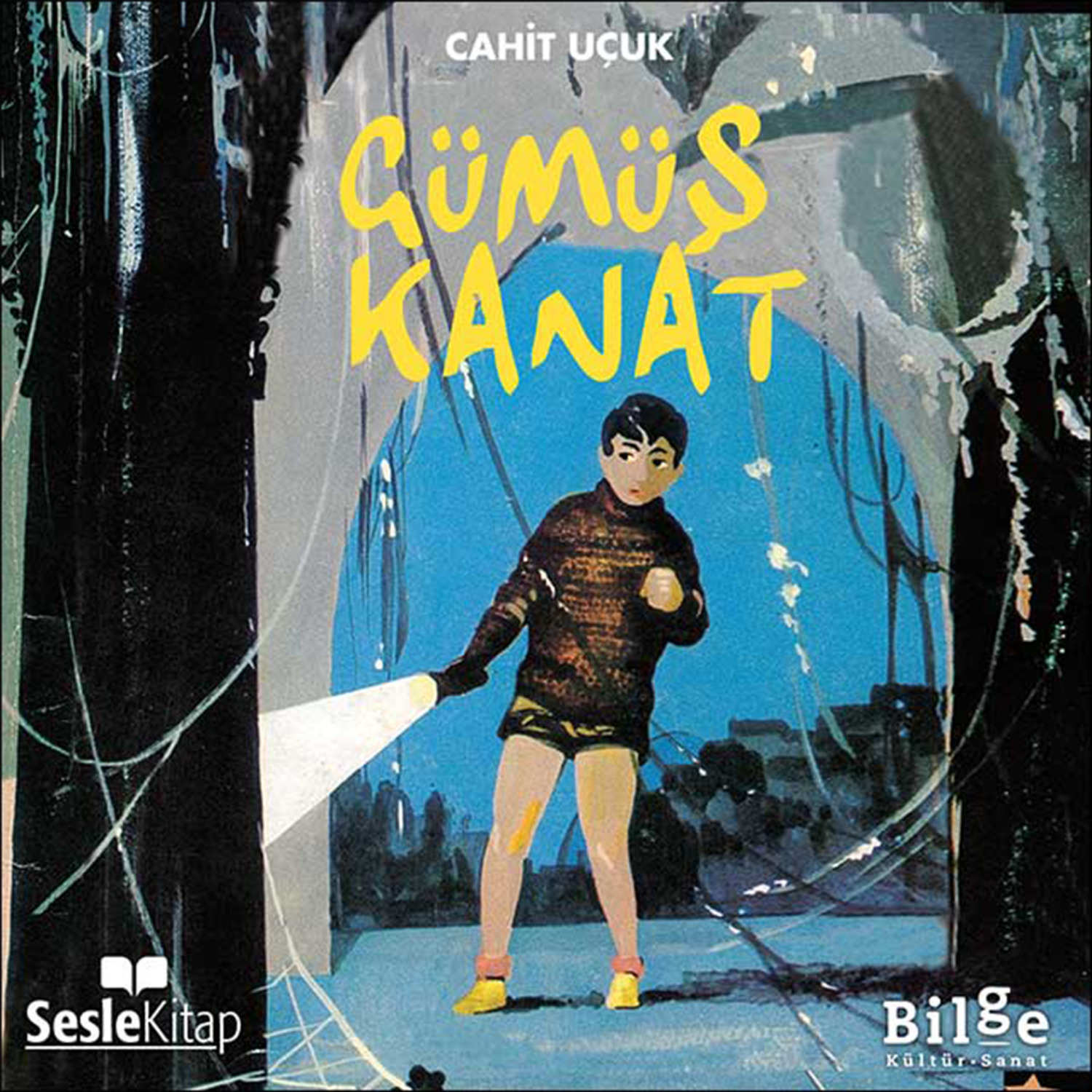 Обложка книги «Gümüş Kanat»