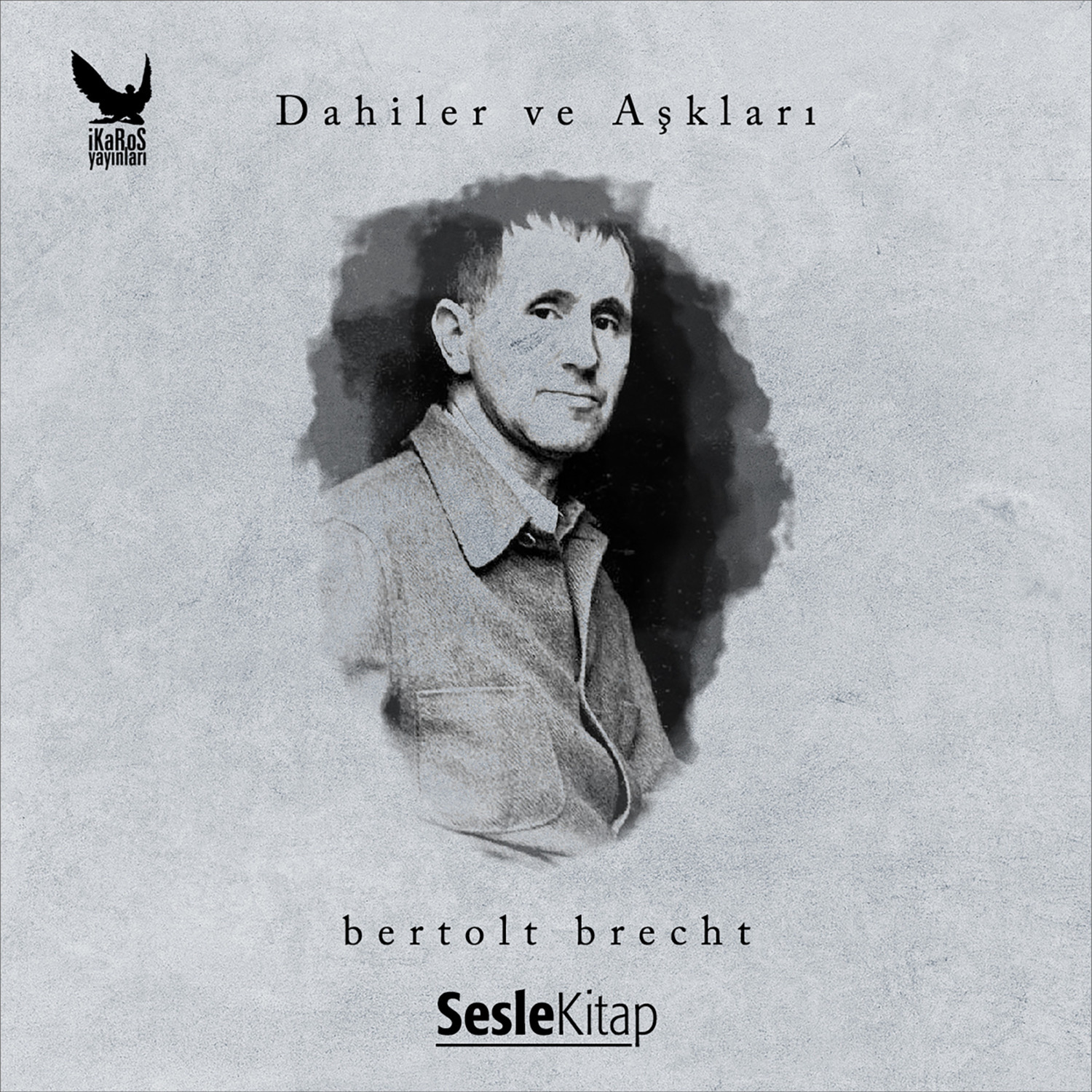 Обложка книги «Dahiler ve Aşkları Bertolt Brecht»