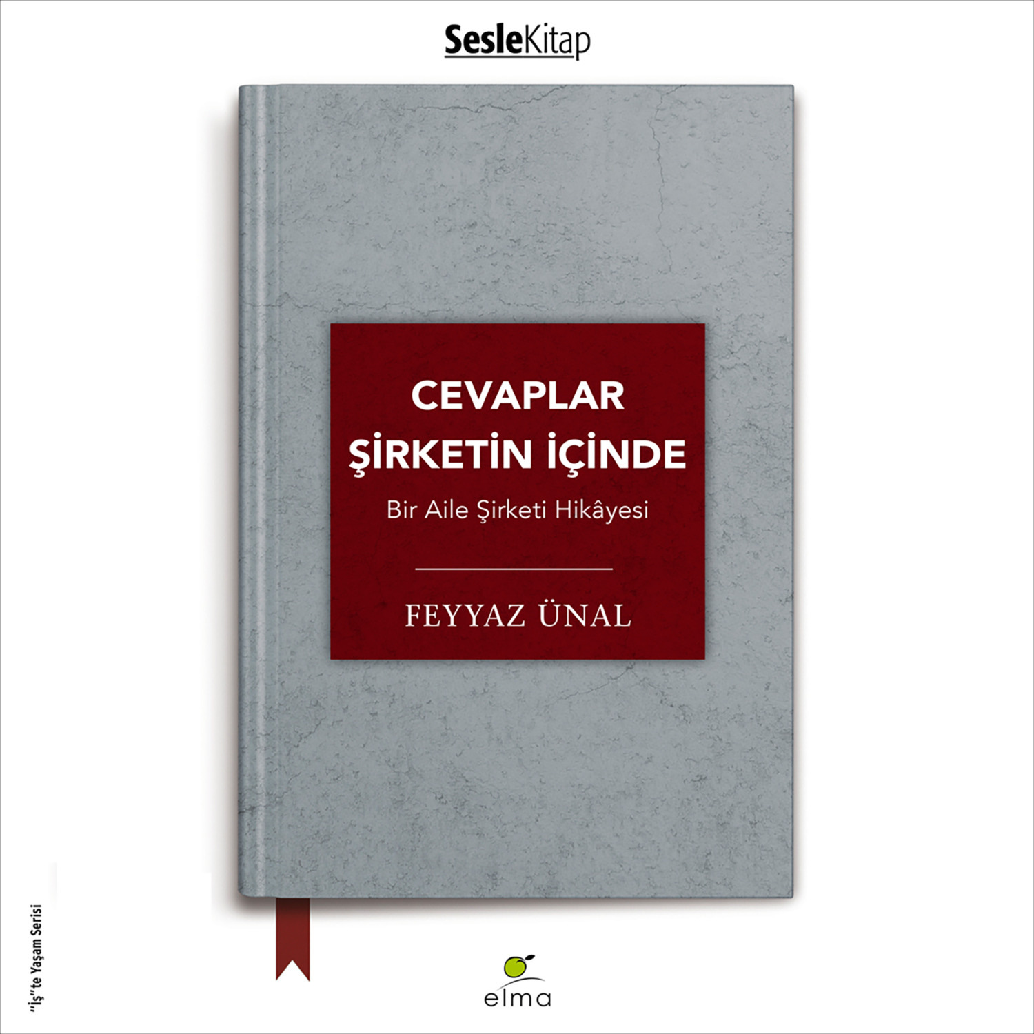 Обложка книги «Cevaplar Şirketin İçinde»