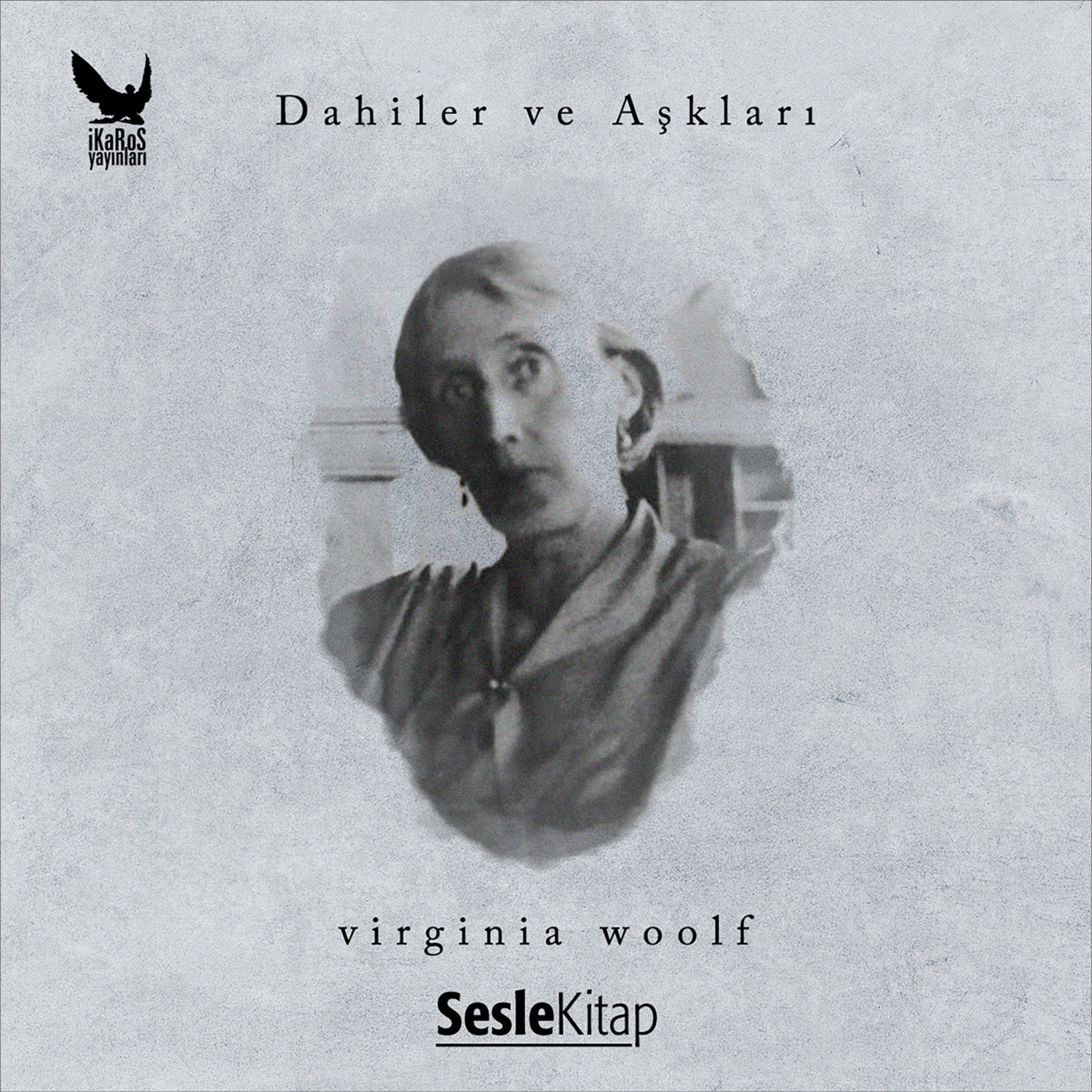 Обложка книги «Dahiler ve Aşkları Virginia Woolf»