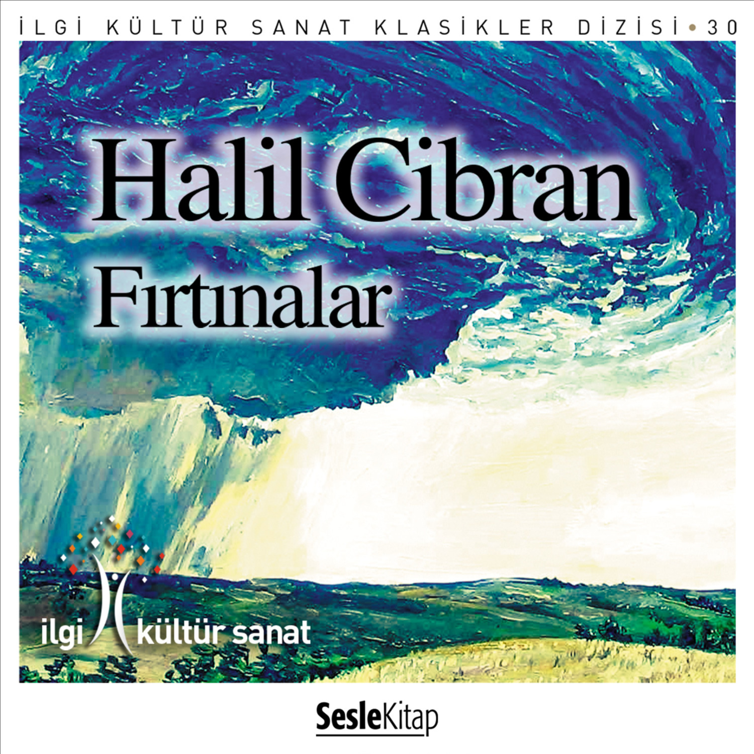 Обложка книги «Fırtınalar»