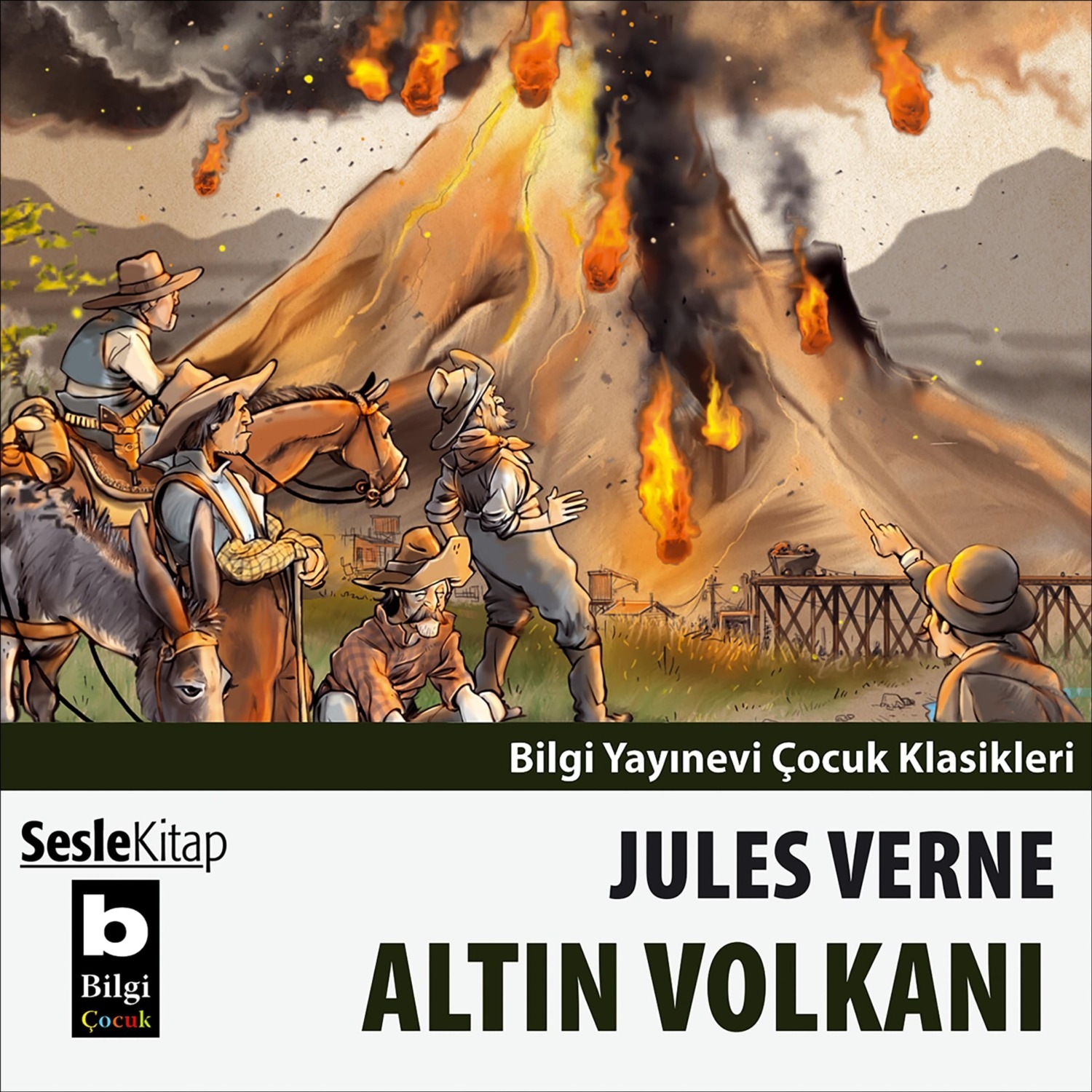 Обложка книги «Altın Volkanı»