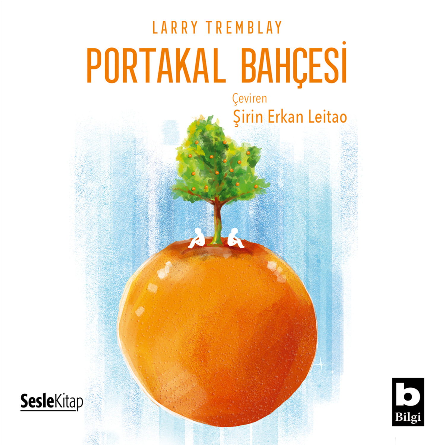 Обложка книги «Portakal Bahçesi»