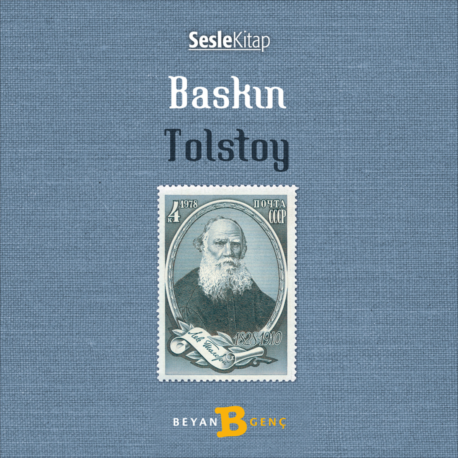 Обложка книги «Baskın»