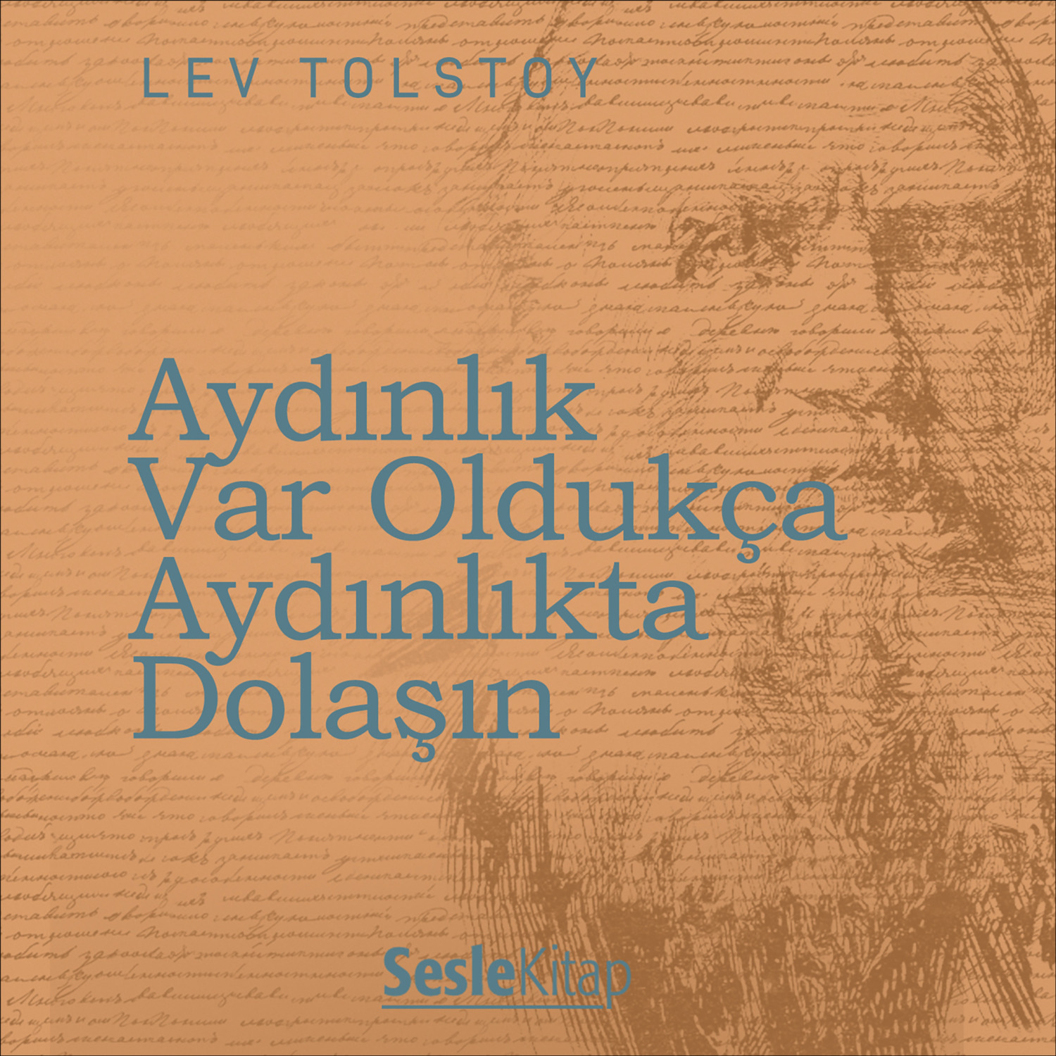 Обложка книги «Aydınlık Var Oldukça Aydınlıkta Dolaşın»