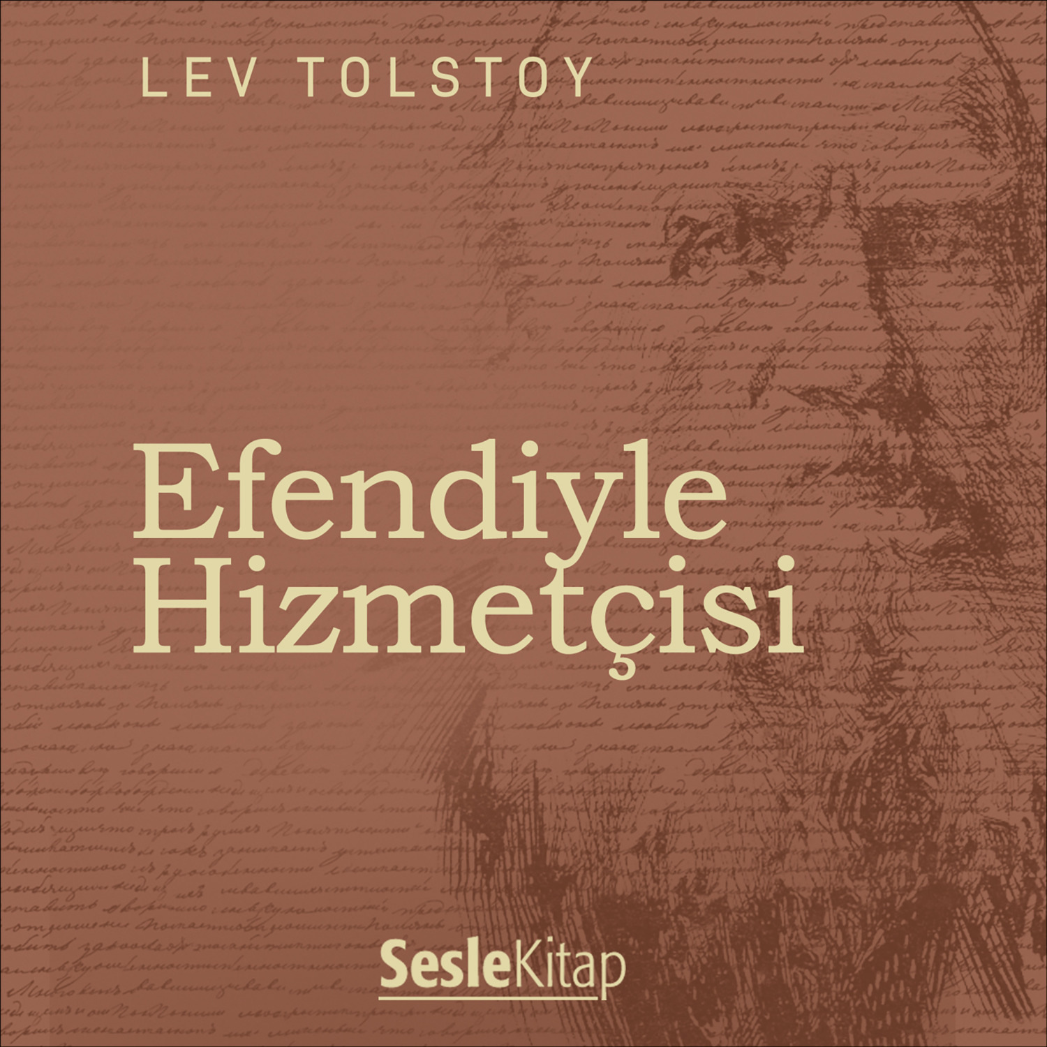 Обложка книги «Efendiyle Hizmetçisi»