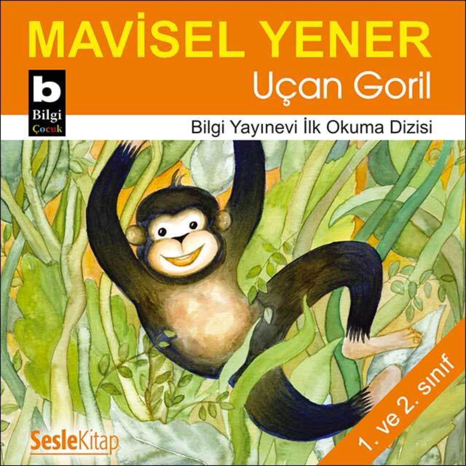 Обложка книги «Uçan Goril»