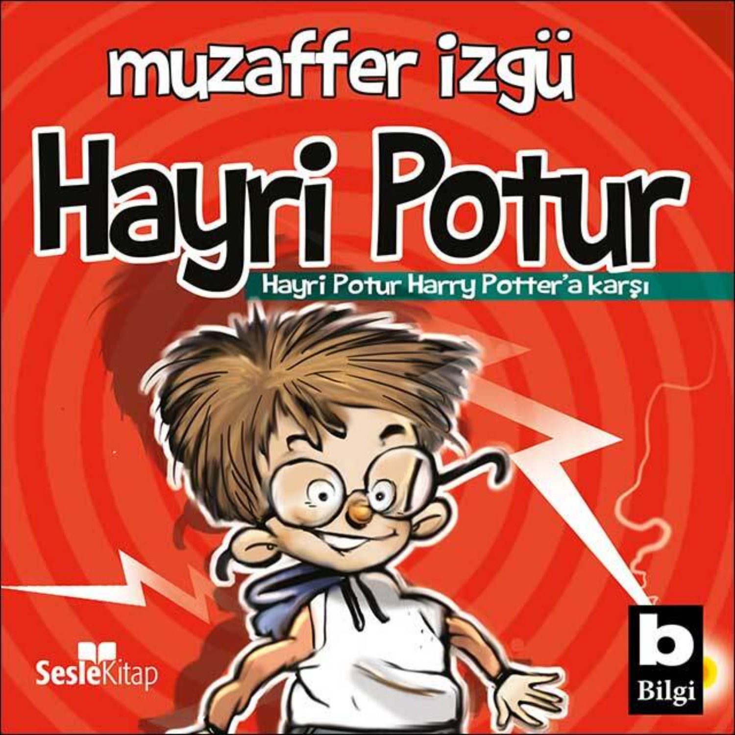 Обложка книги «Hayrı Potur»