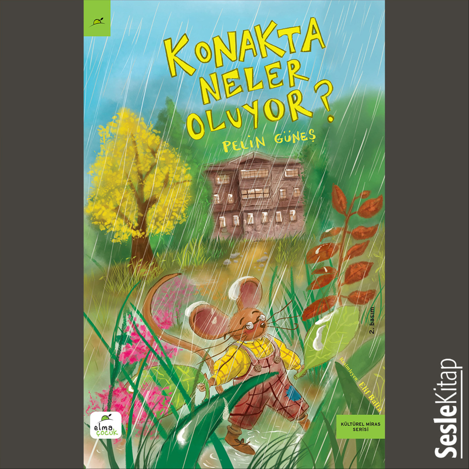 Обложка книги «Konakta Neler Oluyor?»