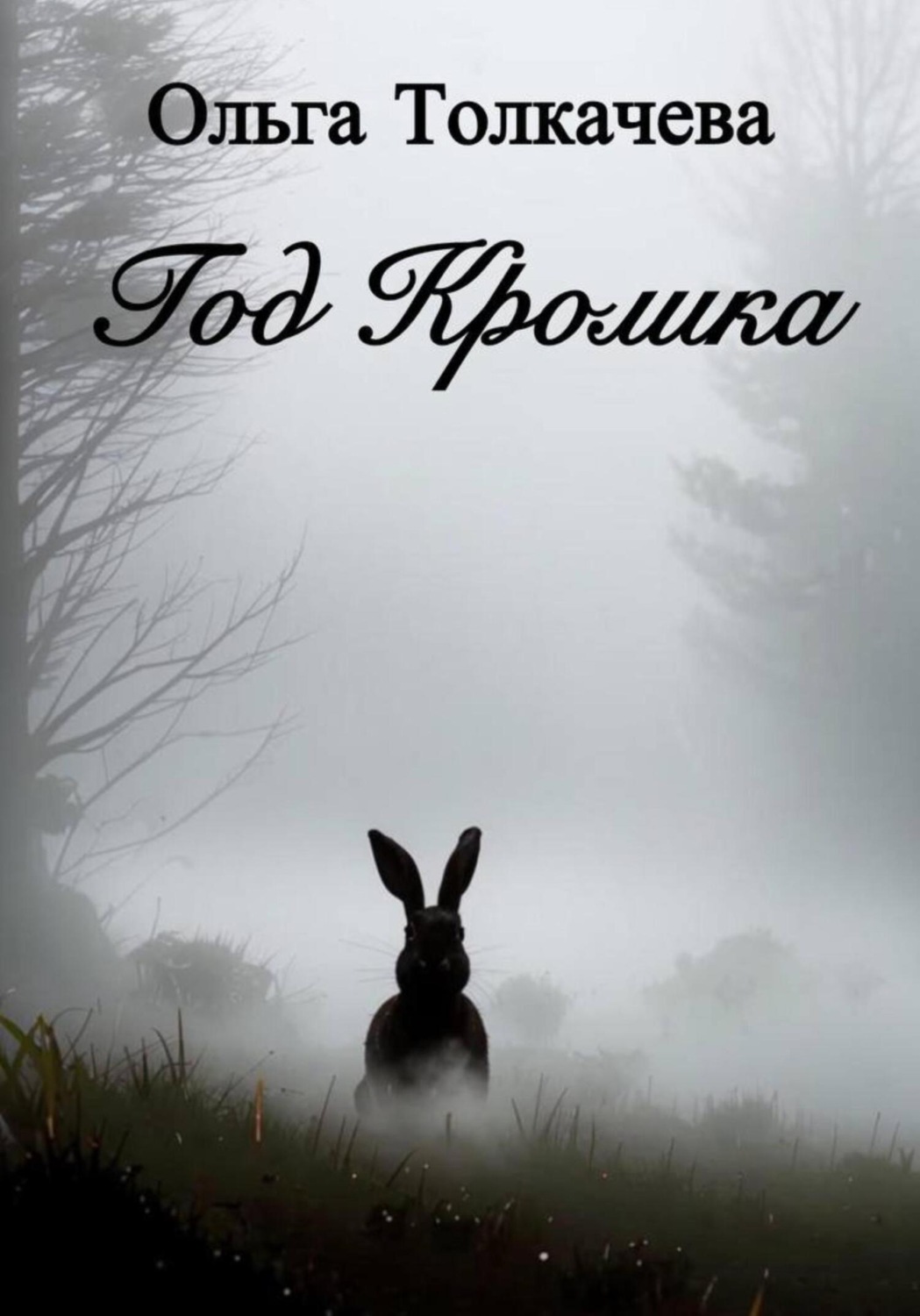 Обложка книги «Год Кролика»