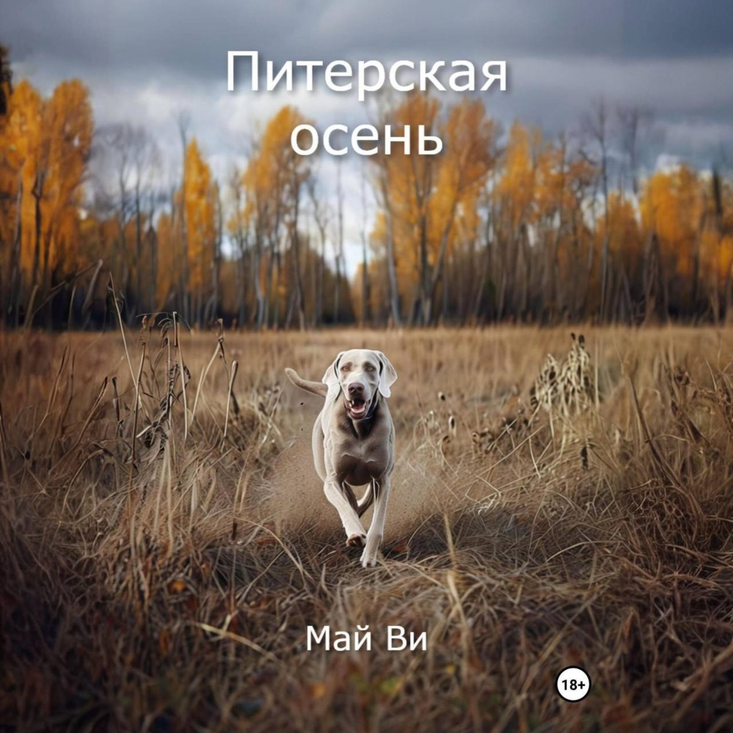 Обложка книги «Питерская осень»