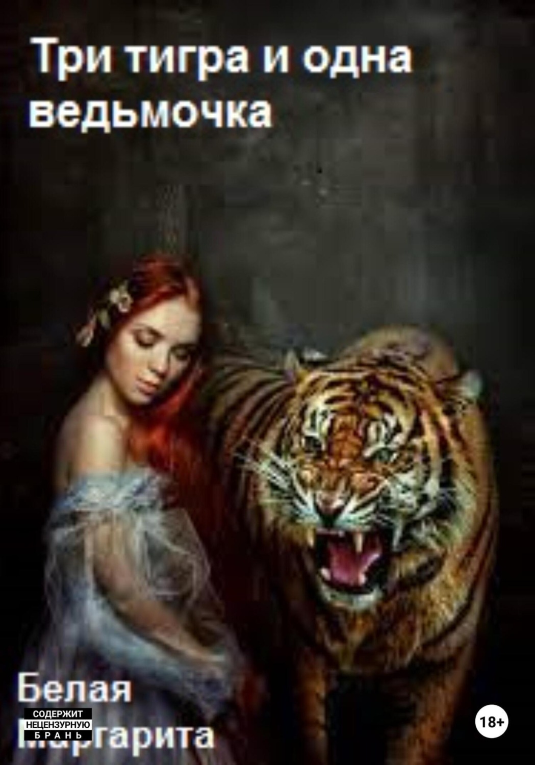 Обложка книги «Три тигра и одна ведьмочка»