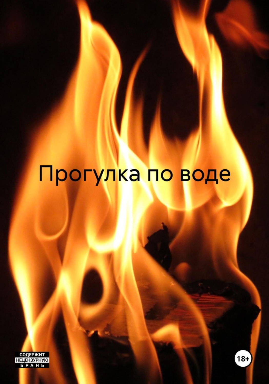 Обложка книги «Прогулка по воде»