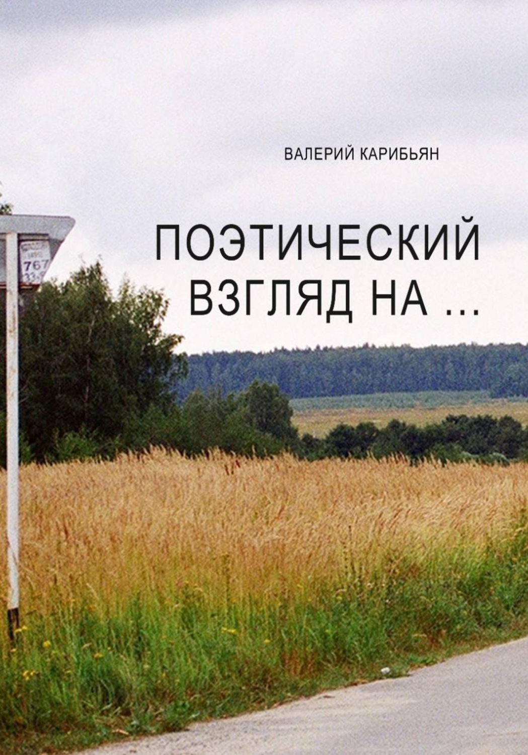 Обложка книги «Поэтический взгляд на...»