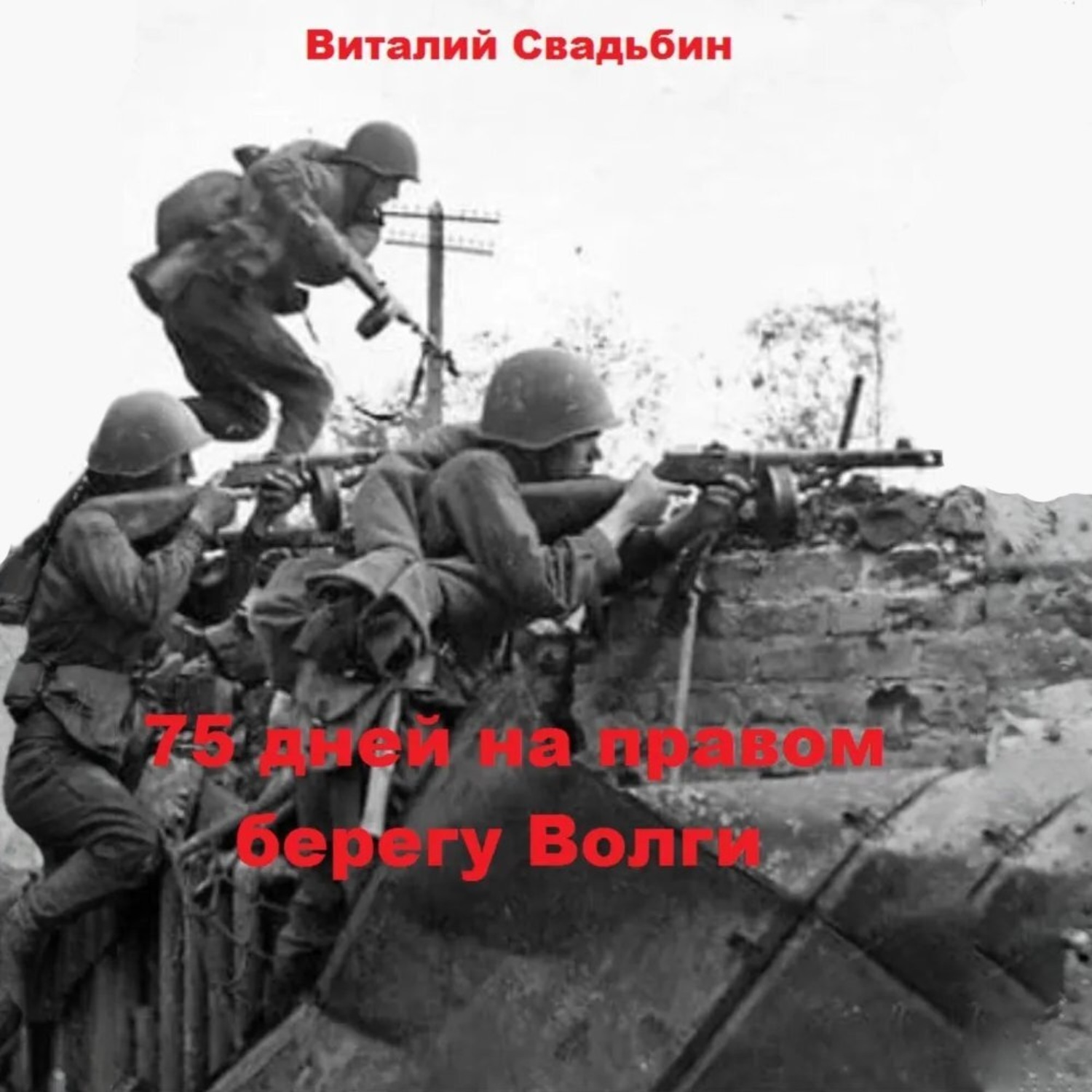 Обложка книги «75 дней на правом берегу Волги»