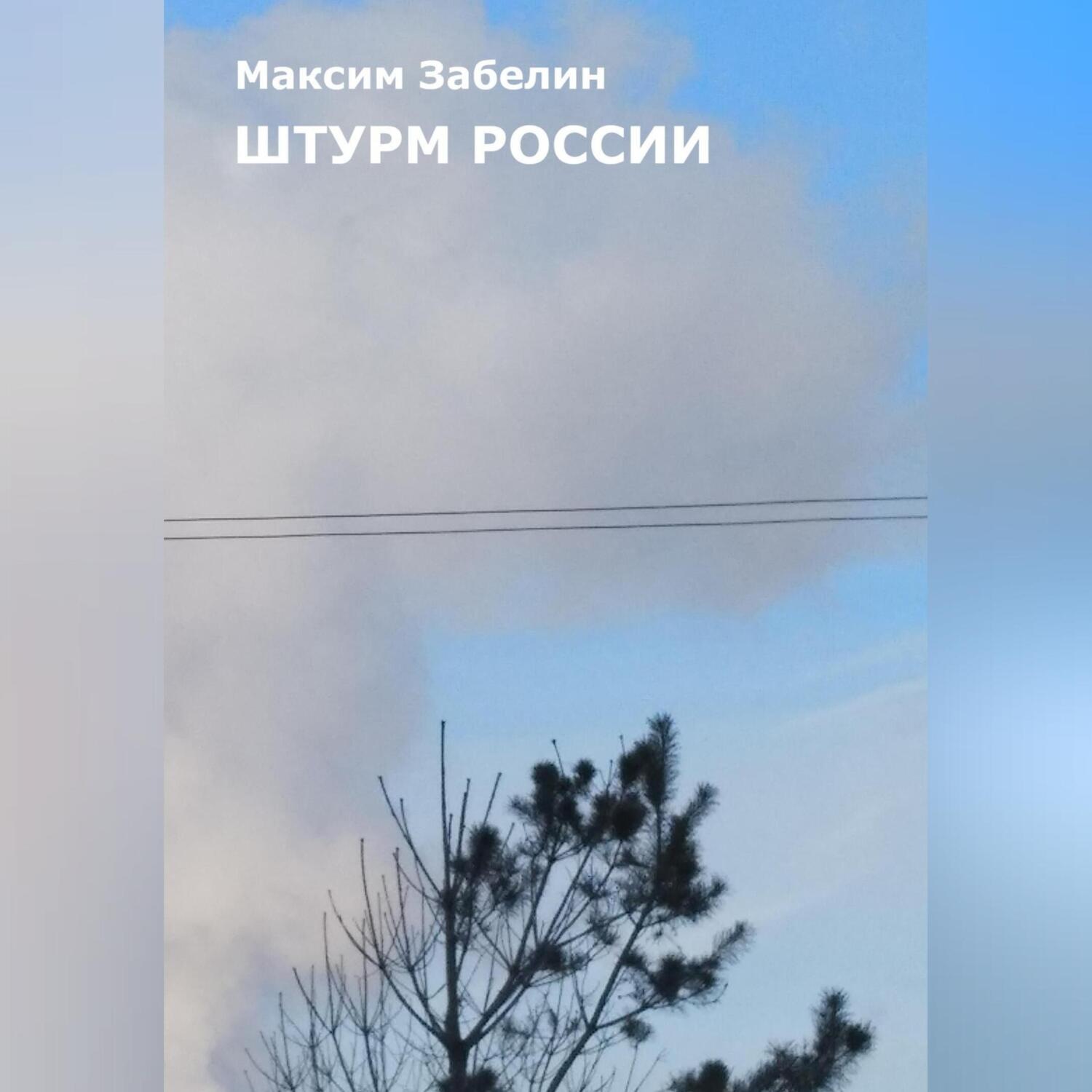 Обложка книги «Штурм России»