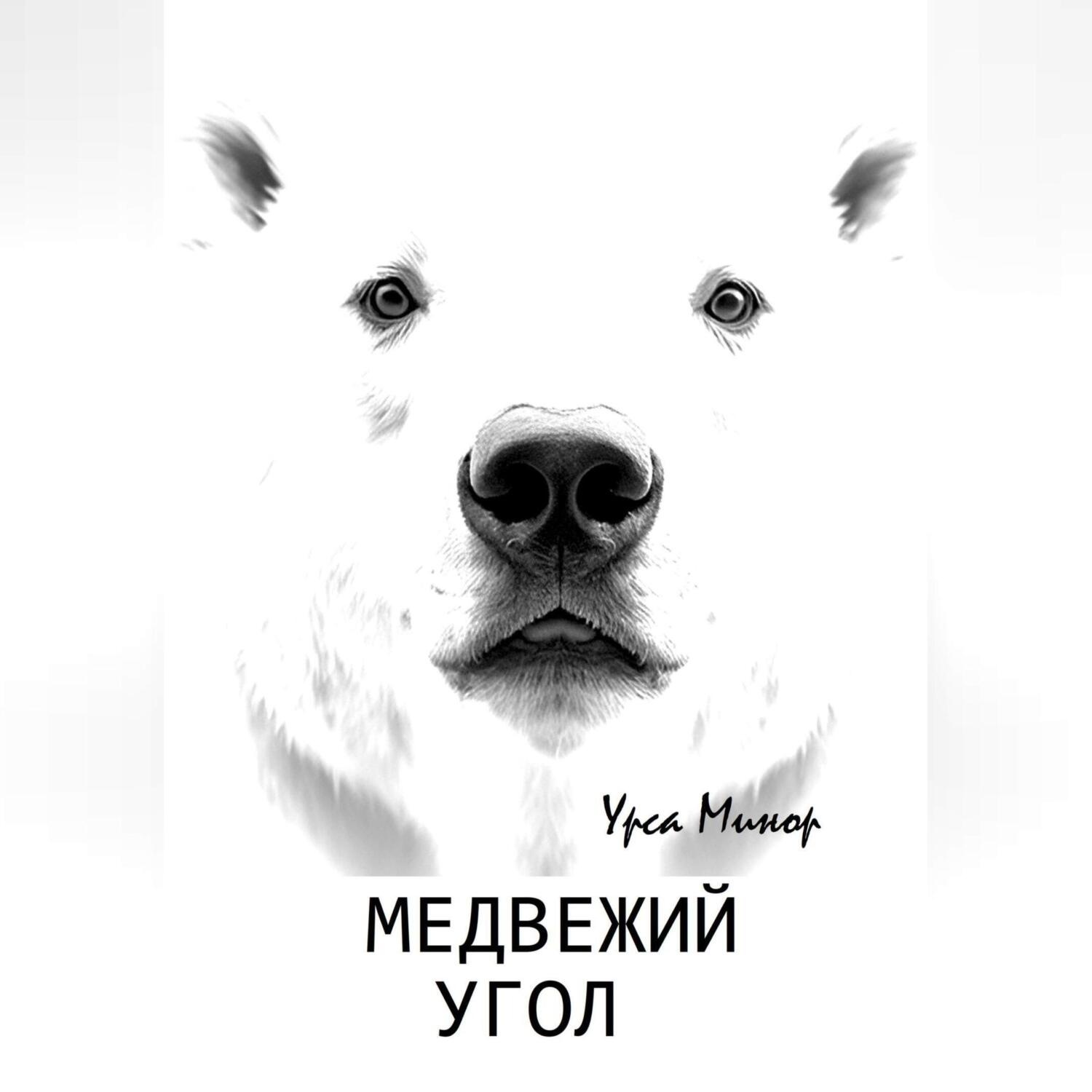 Обложка книги «Медвежий угол»
