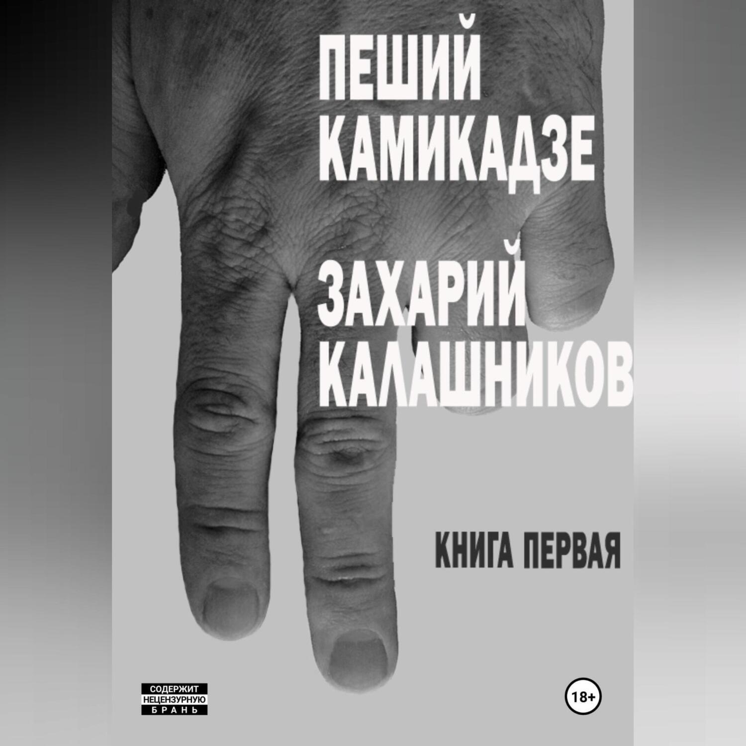 Обложка книги «Пеший камикадзе. Книга первая»