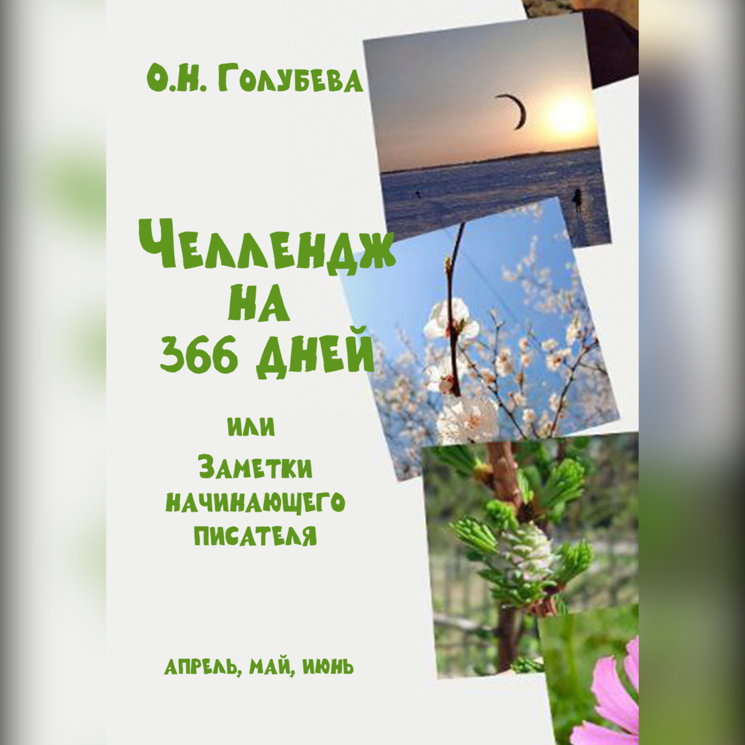 Обложка книги «ЧЕЛЛЕНДЖ НА 366 ДНЕЙ или Заметки начинающего писателя. Часть 2»