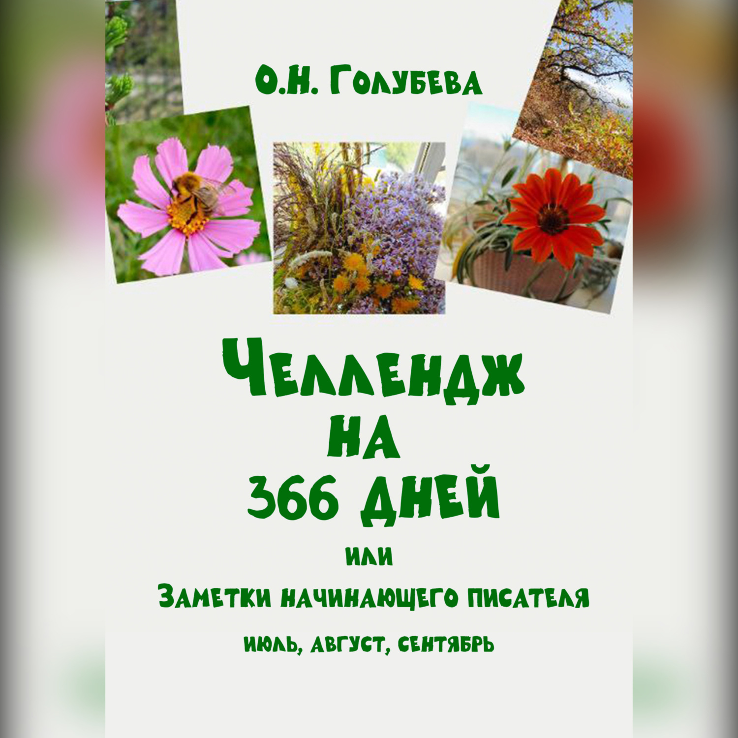 Обложка книги «ЧЕЛЛЕНДЖ НА 366 ДНЕЙ или Заметки начинающего писателя. Часть 3»