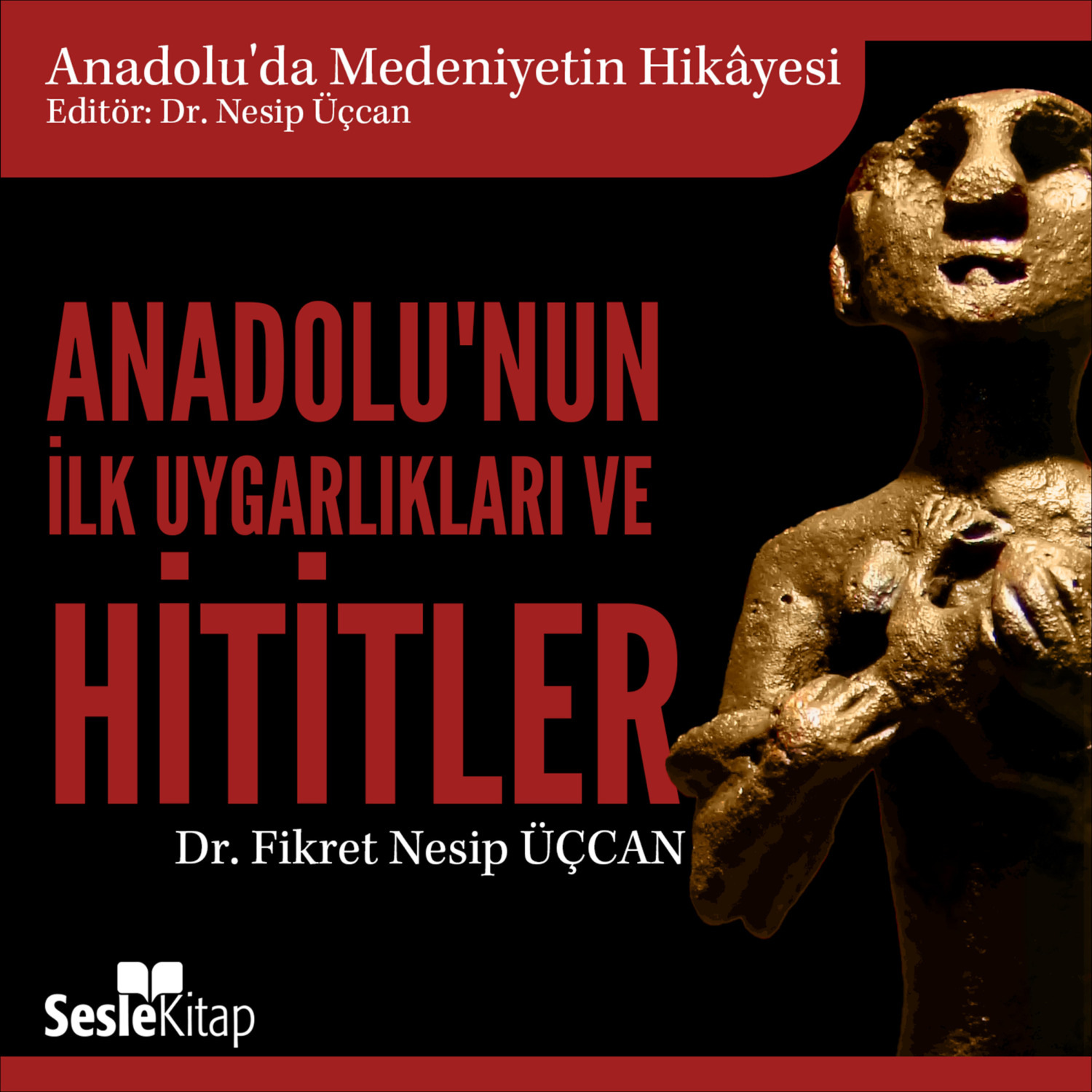 Обложка книги «Anadolu'da Medeniyetin Hikayesi 1 - Anadolu'nun İlk Uygarlıkları ve Hititler»