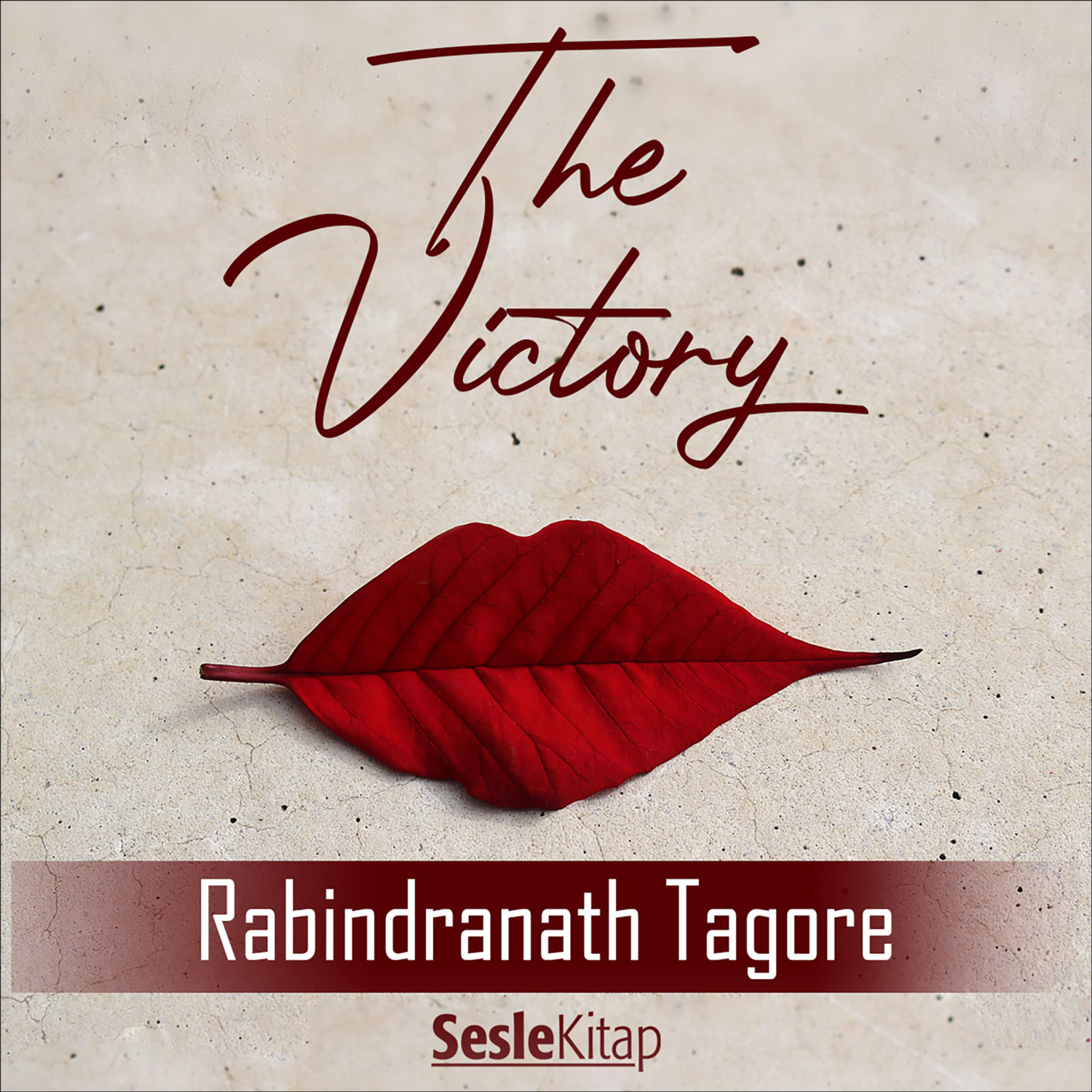Обложка книги «The Victory»