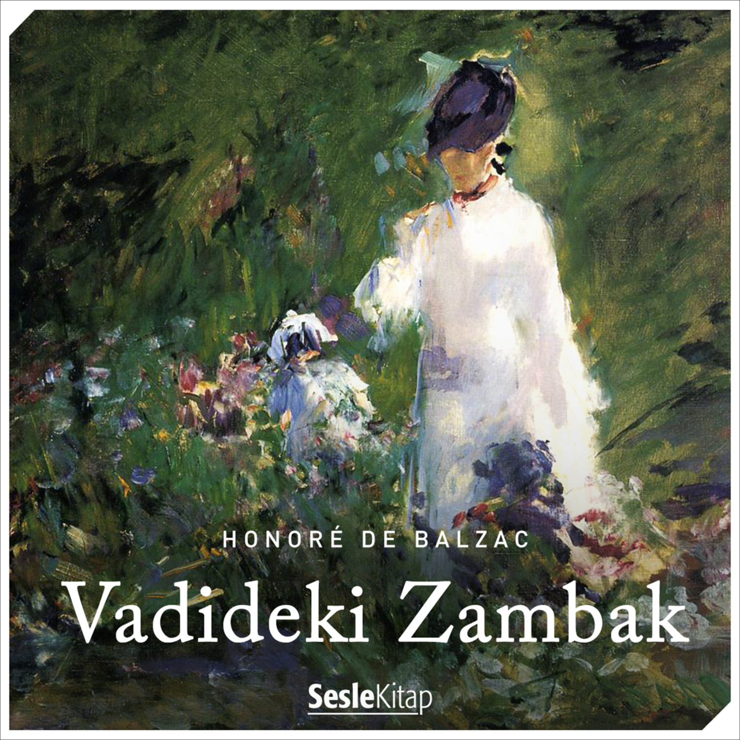 Обложка книги «Vadideki Zambak»
