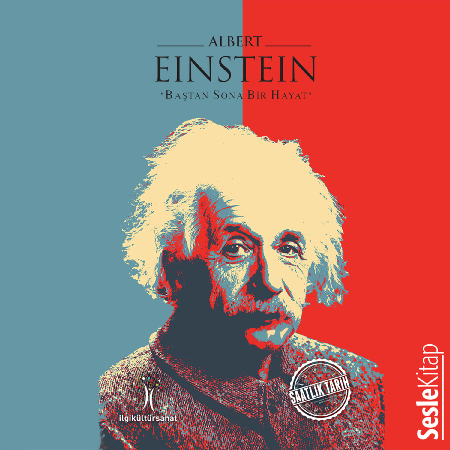 Обложка книги «Dahiler ve Aşkları Albert Einstein»