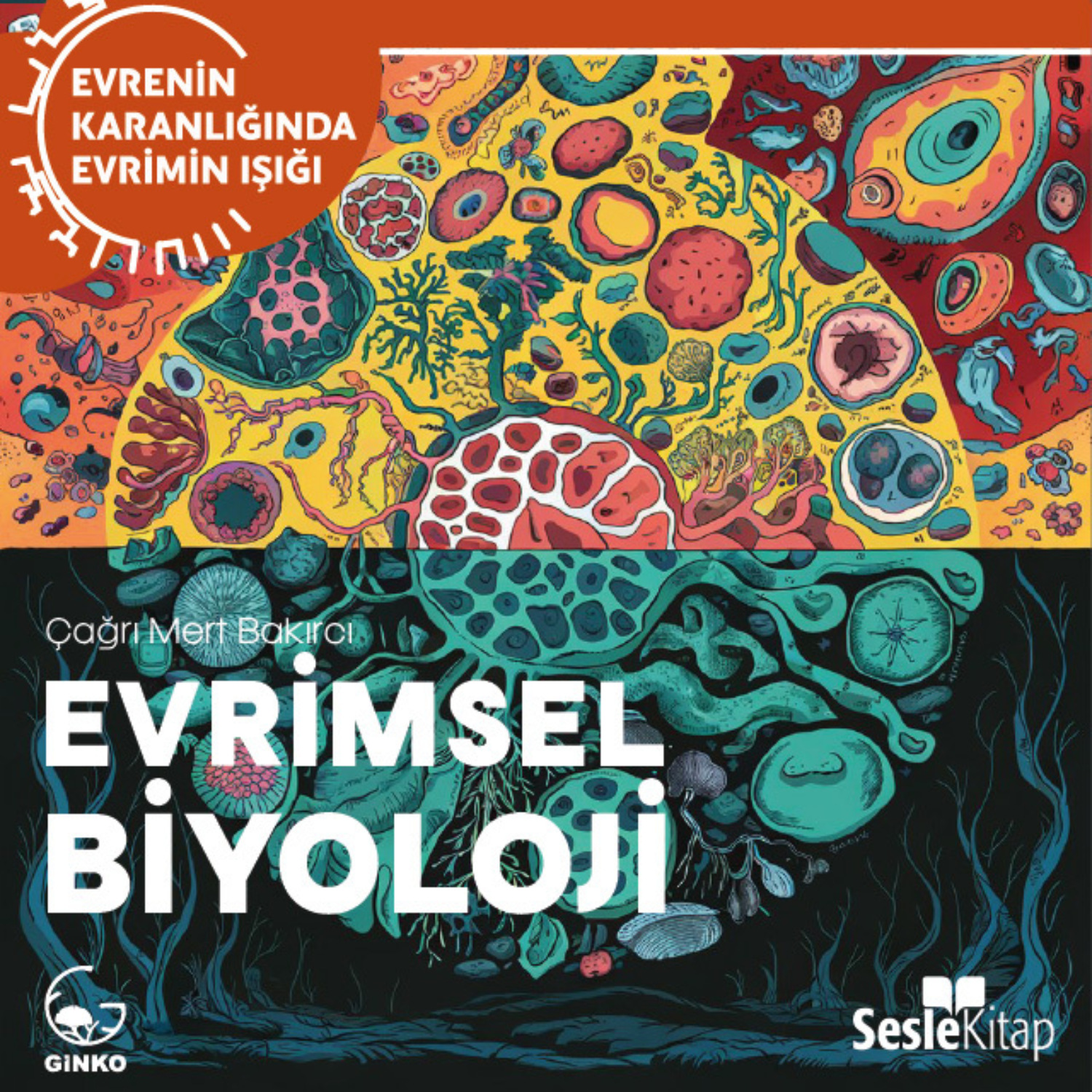 Обложка книги «EVRENİN KARANLIĞINDA EVRİMİN IŞIĞI BÖLÜM 2 / MATEMATİKSEL EVRİM VE POPÜLASYON GENETİĞİ - Evrimin Teorisi ve Matematiği»