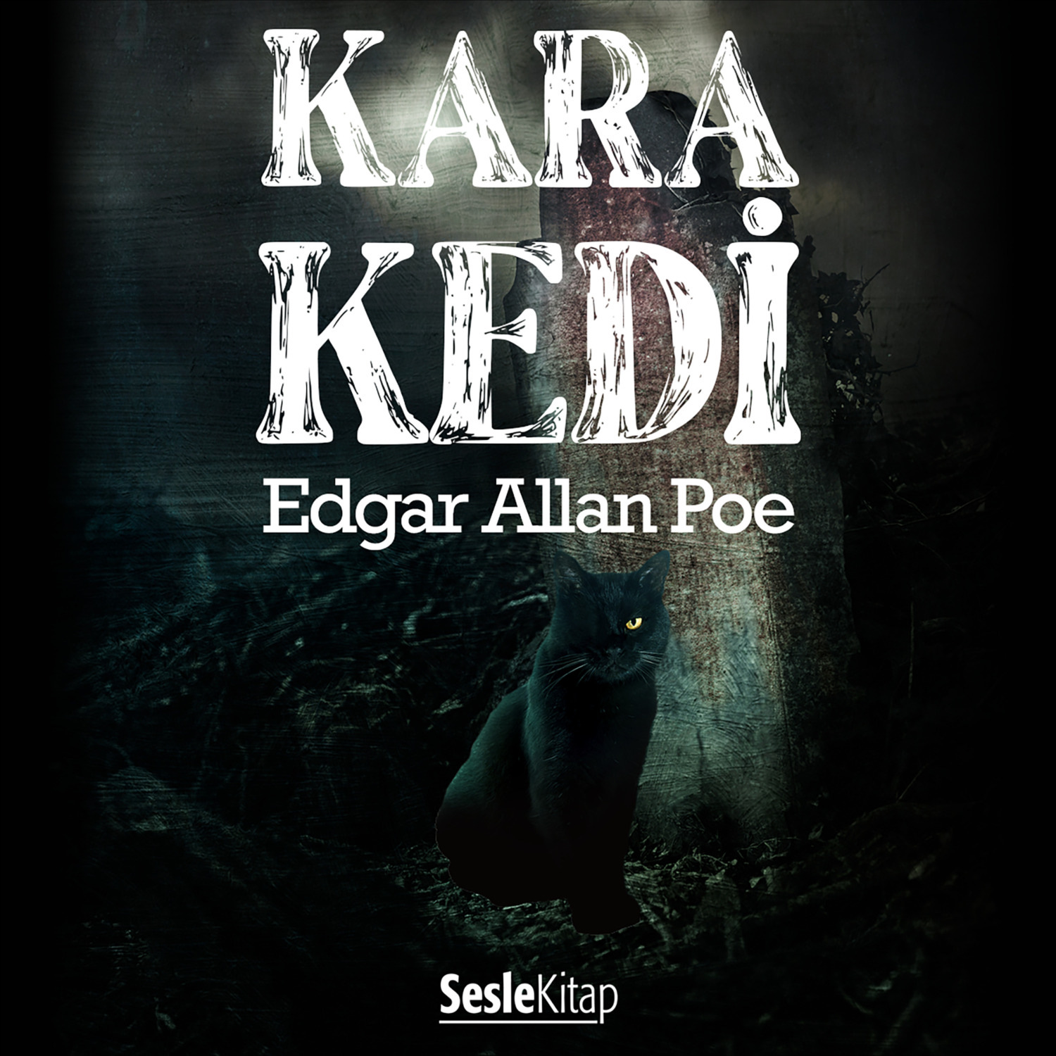 Обложка книги «Kara Kedi»