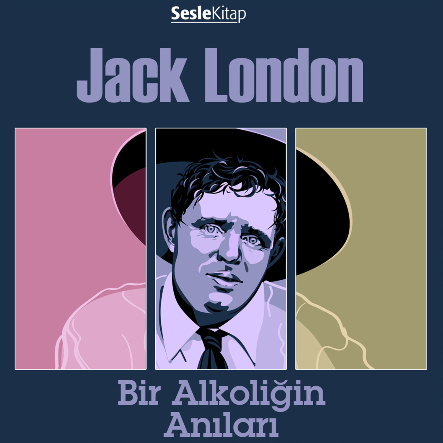 Обложка книги «Bir Alkoliğin Anıları»