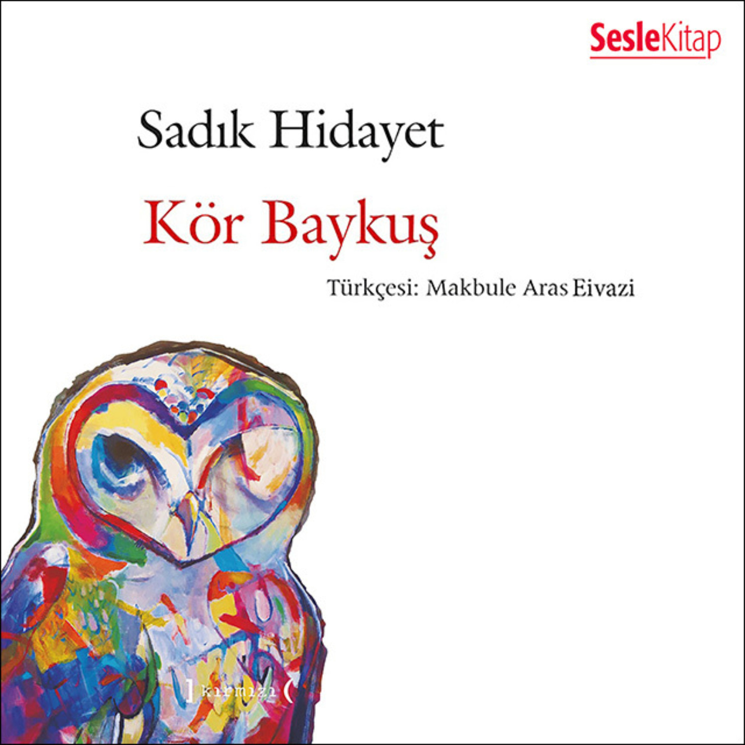 Обложка книги «Kör Baykuş»