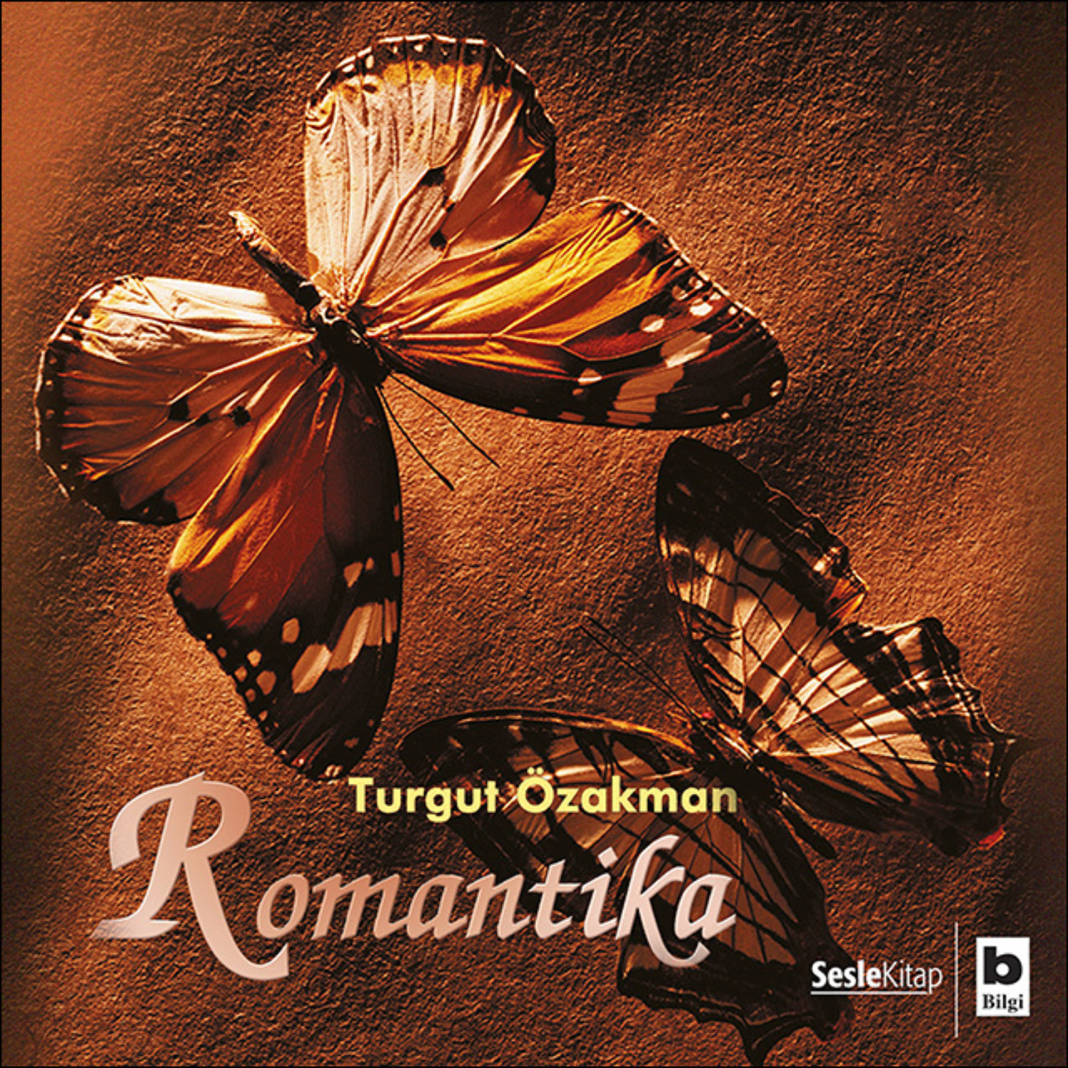 Обложка книги «Romantika»