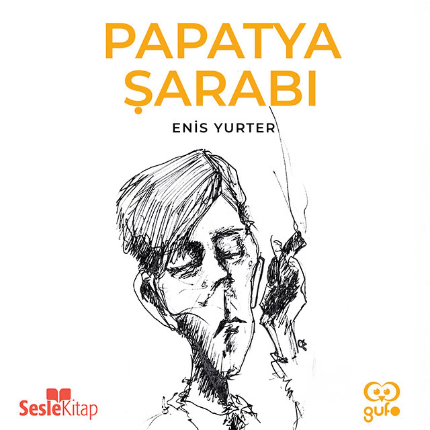 Обложка книги «Papatya Şarabı»