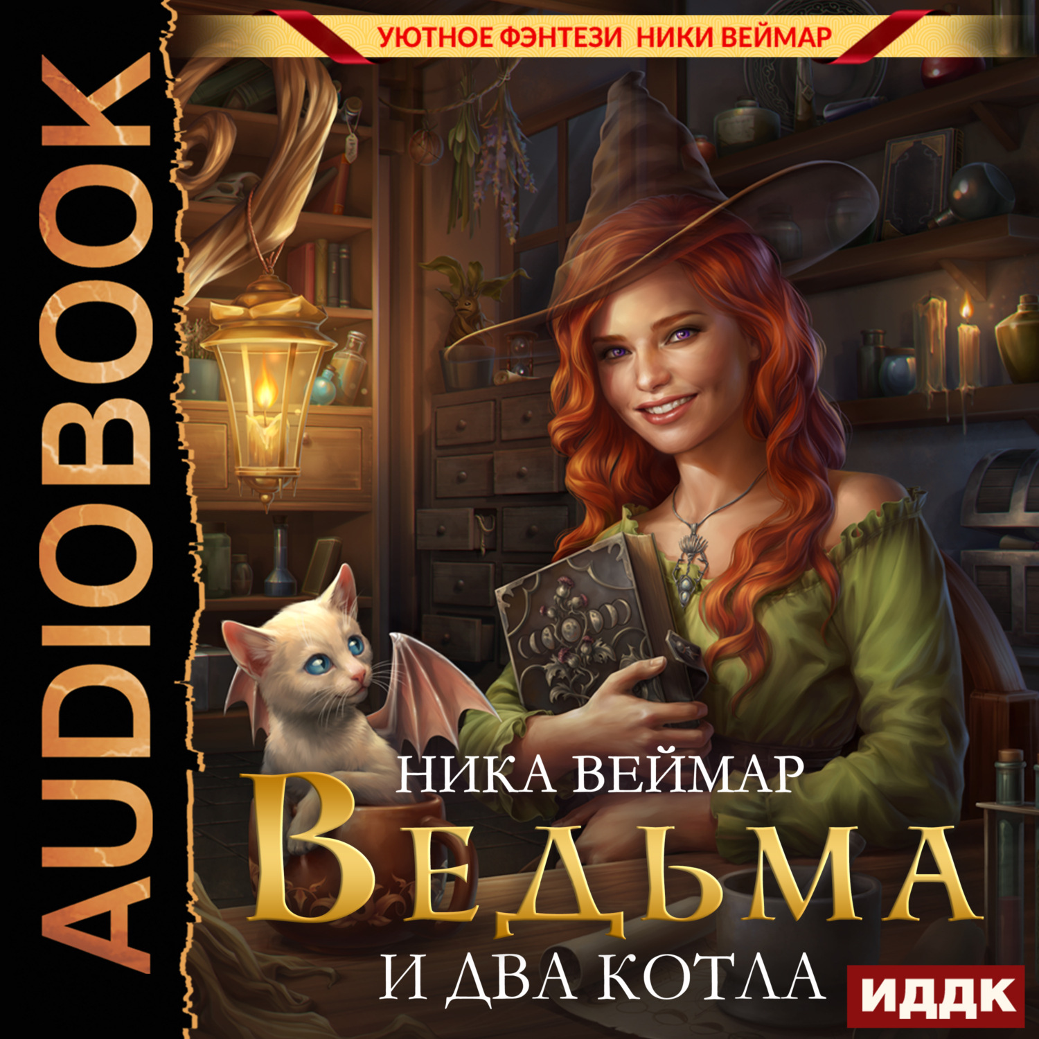 Обложка книги «Ведьма и два котла»