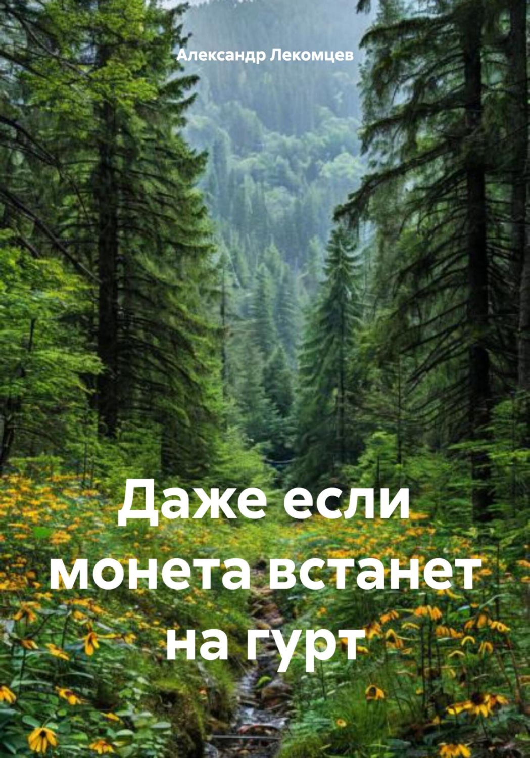 Обложка книги «Даже если монета встанет на гурт»