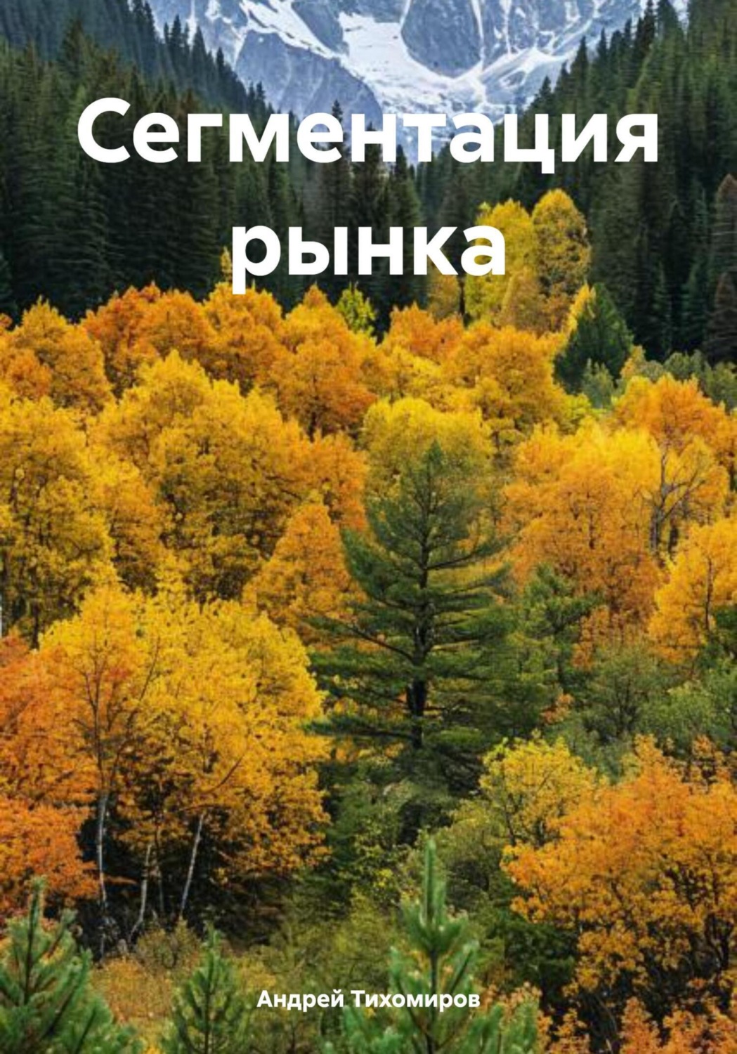 Обложка книги «Сегментация рынка»