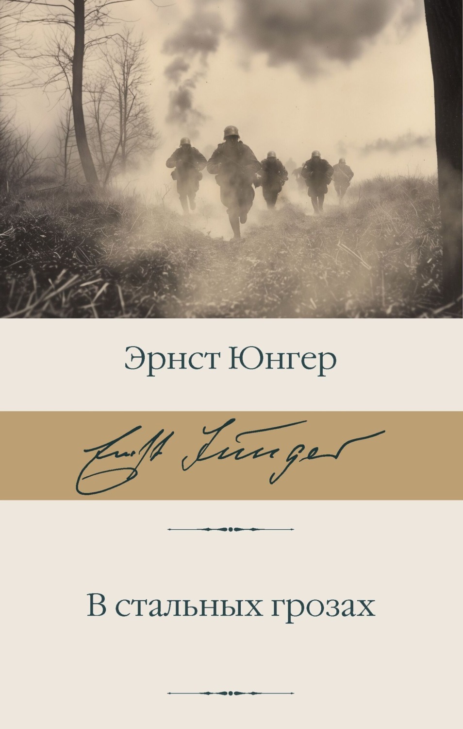 Обложка книги «В стальных грозах»