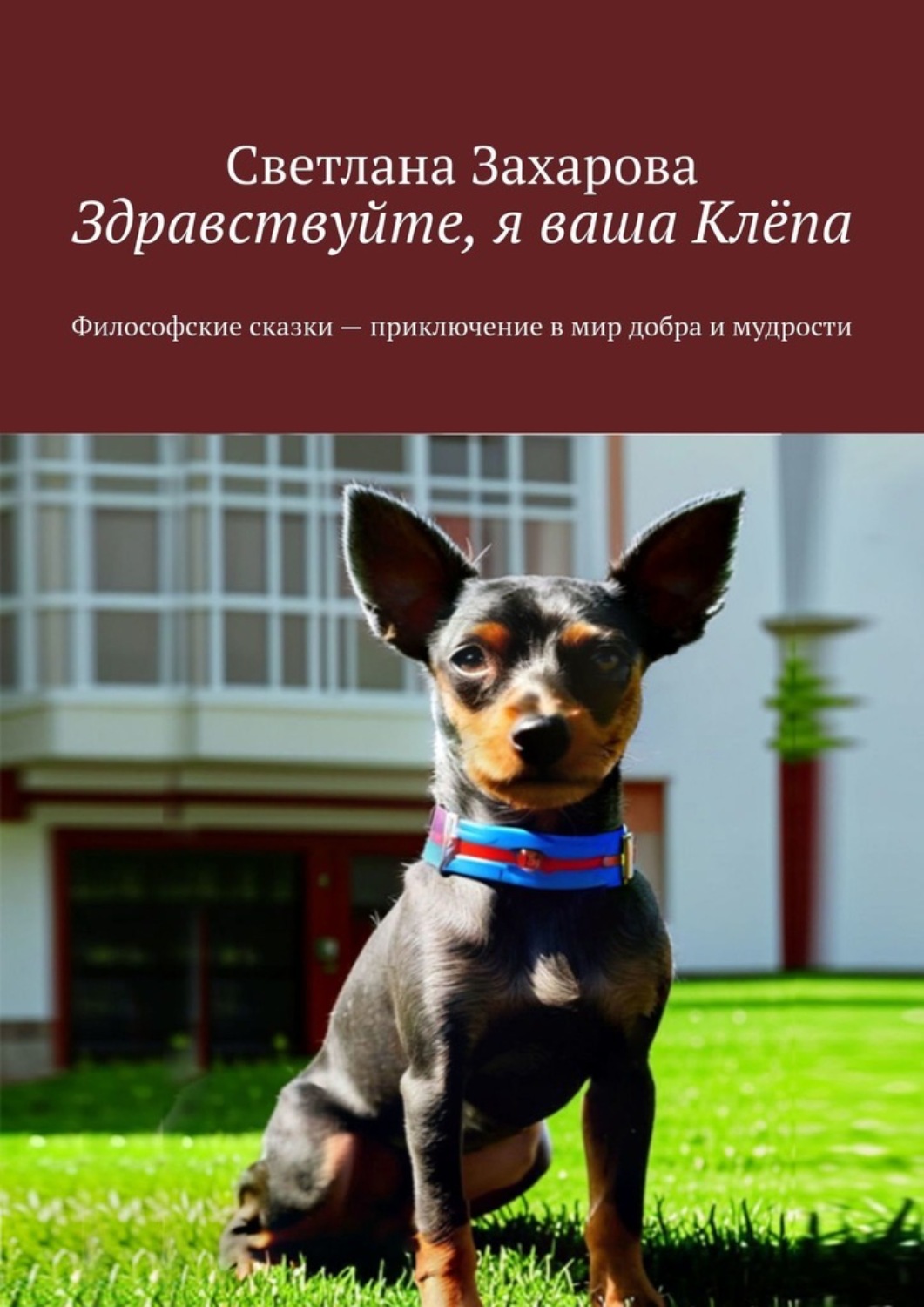 Обложка книги «Здравствуйте, я ваша Клёпа. Философские сказки – приключение в мир добра и мудрости»