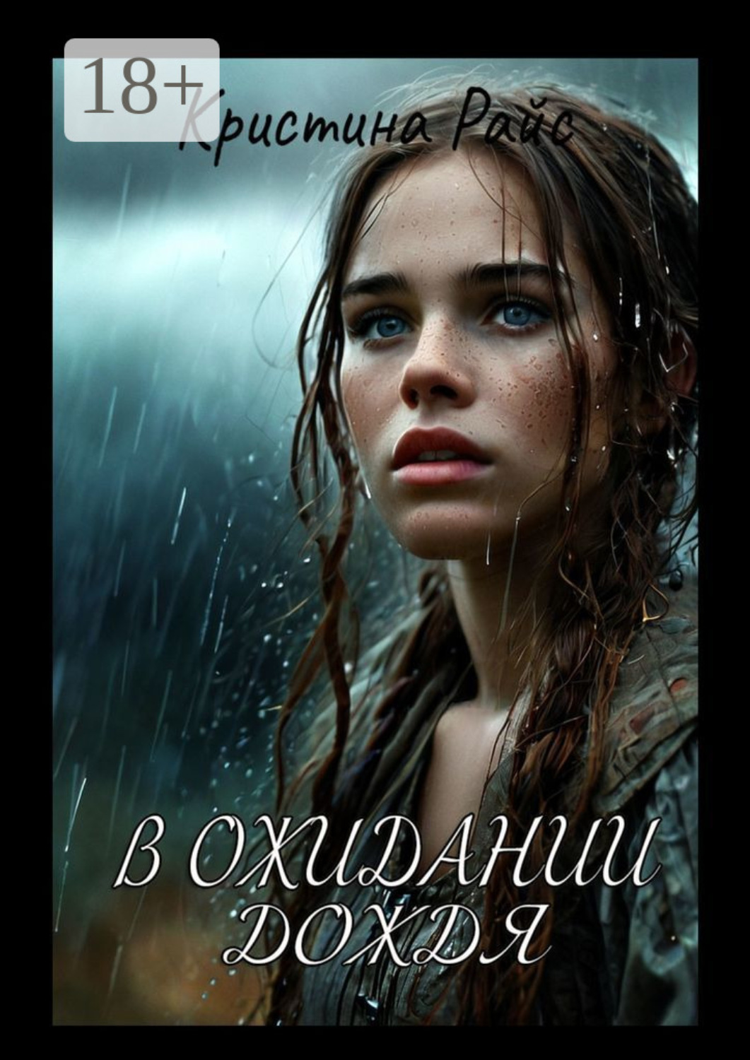 Обложка книги «В ожидании дождя»