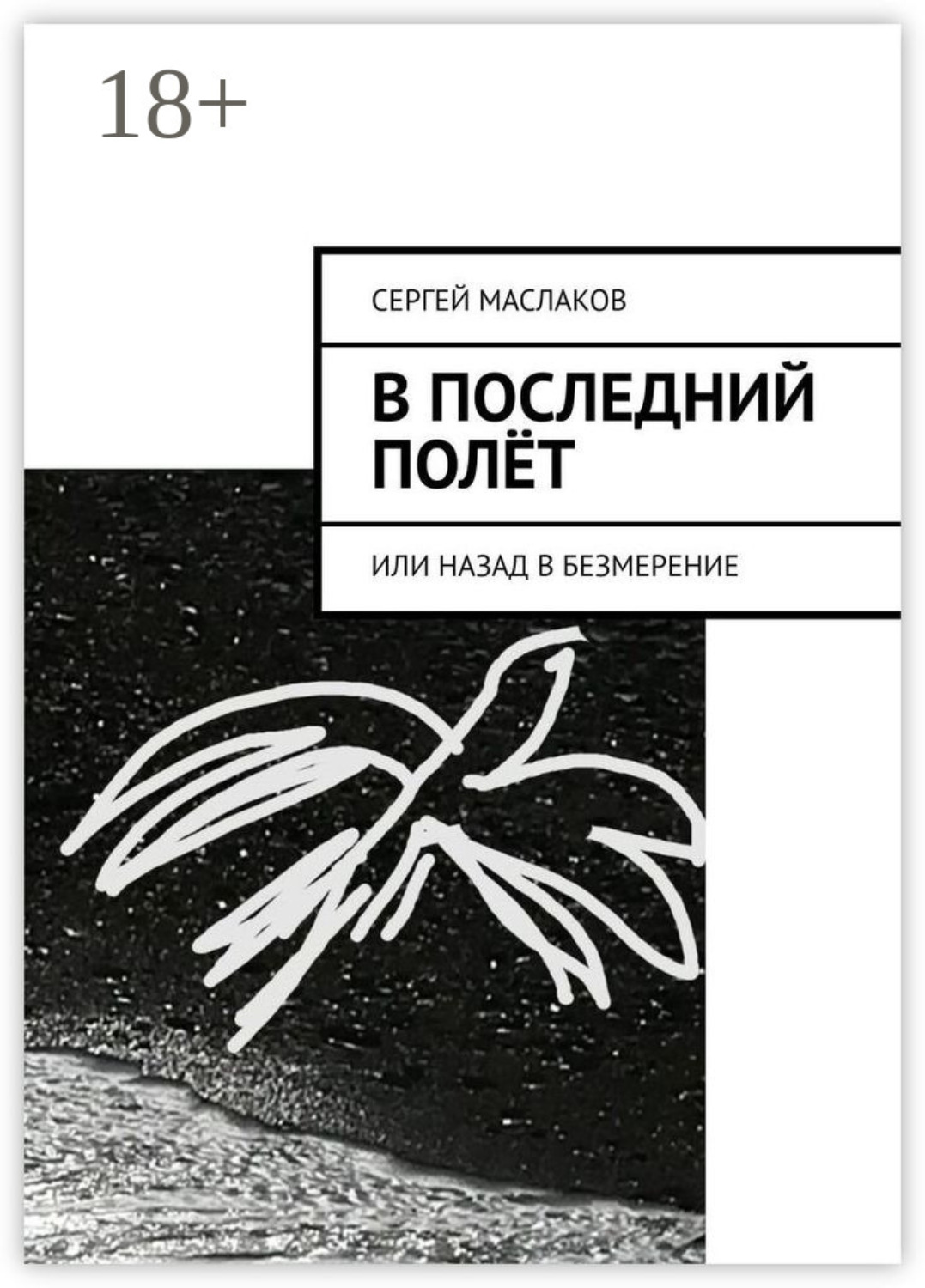 Обложка книги «В последний полёт. Или Назад в Безмерение»
